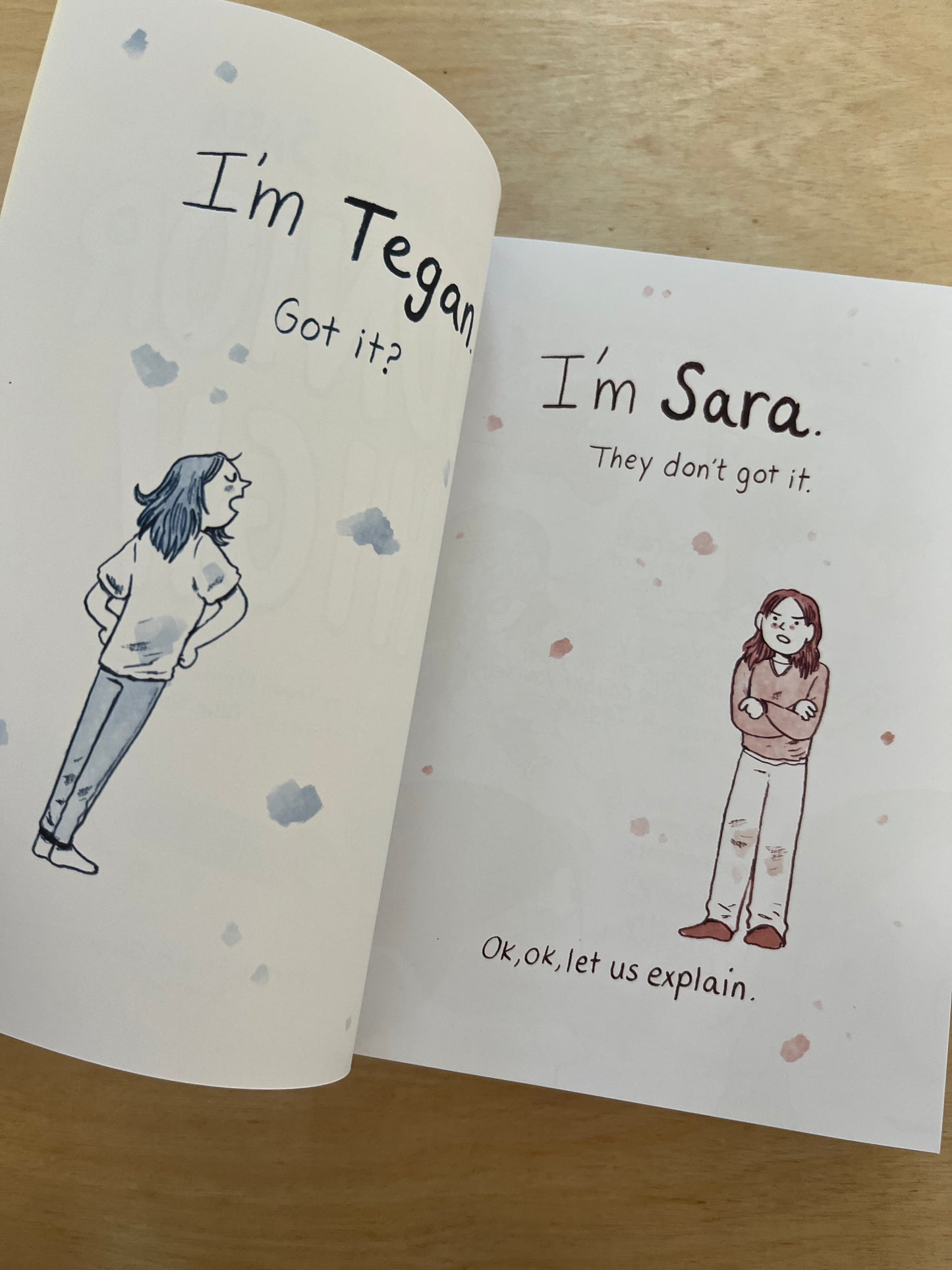 Tegan and Sara: Junior High