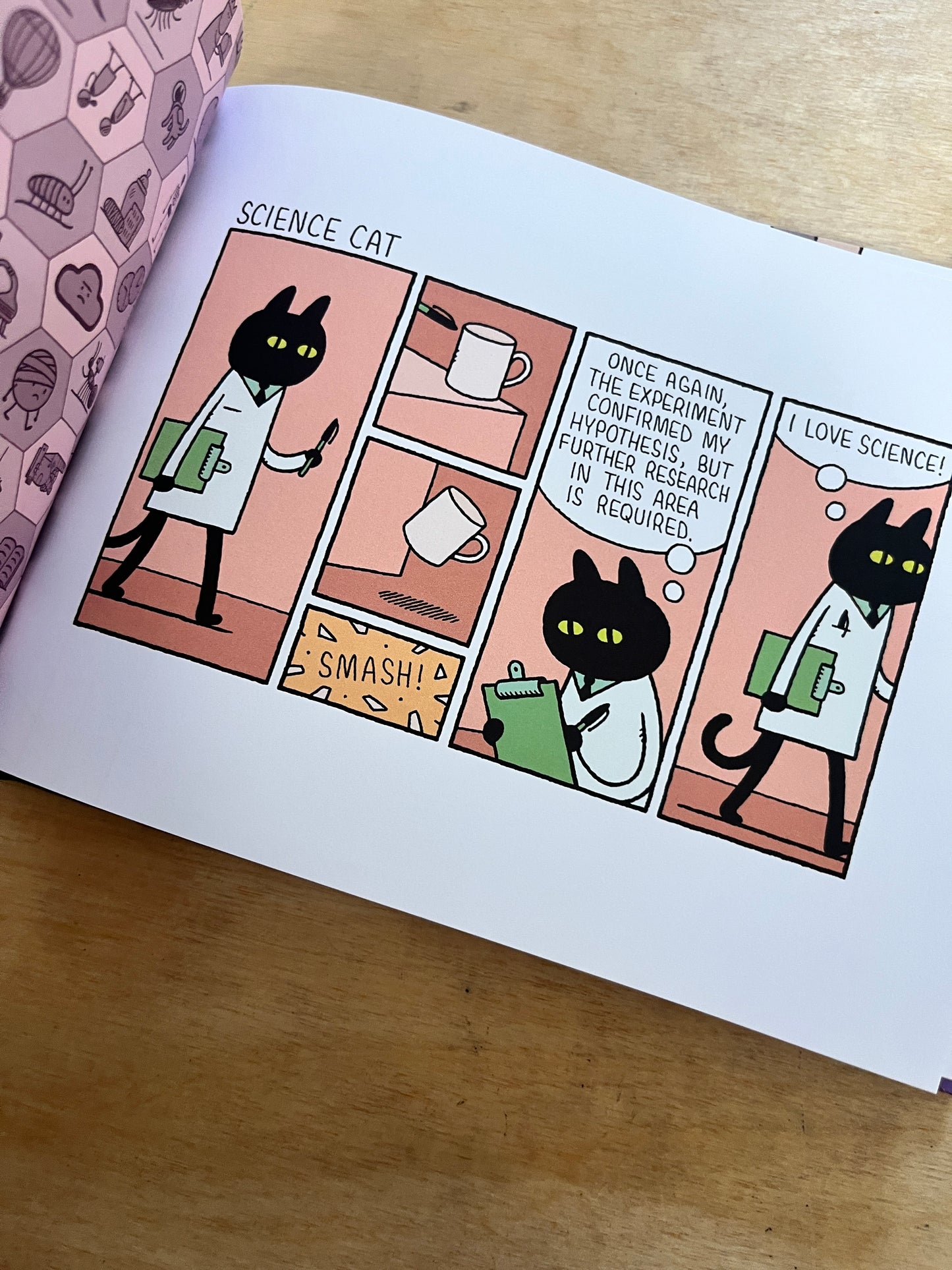 Physics for Cats