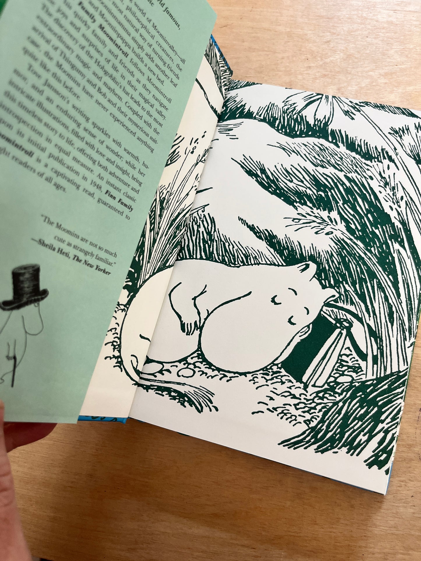 Finn Family Moomintroll