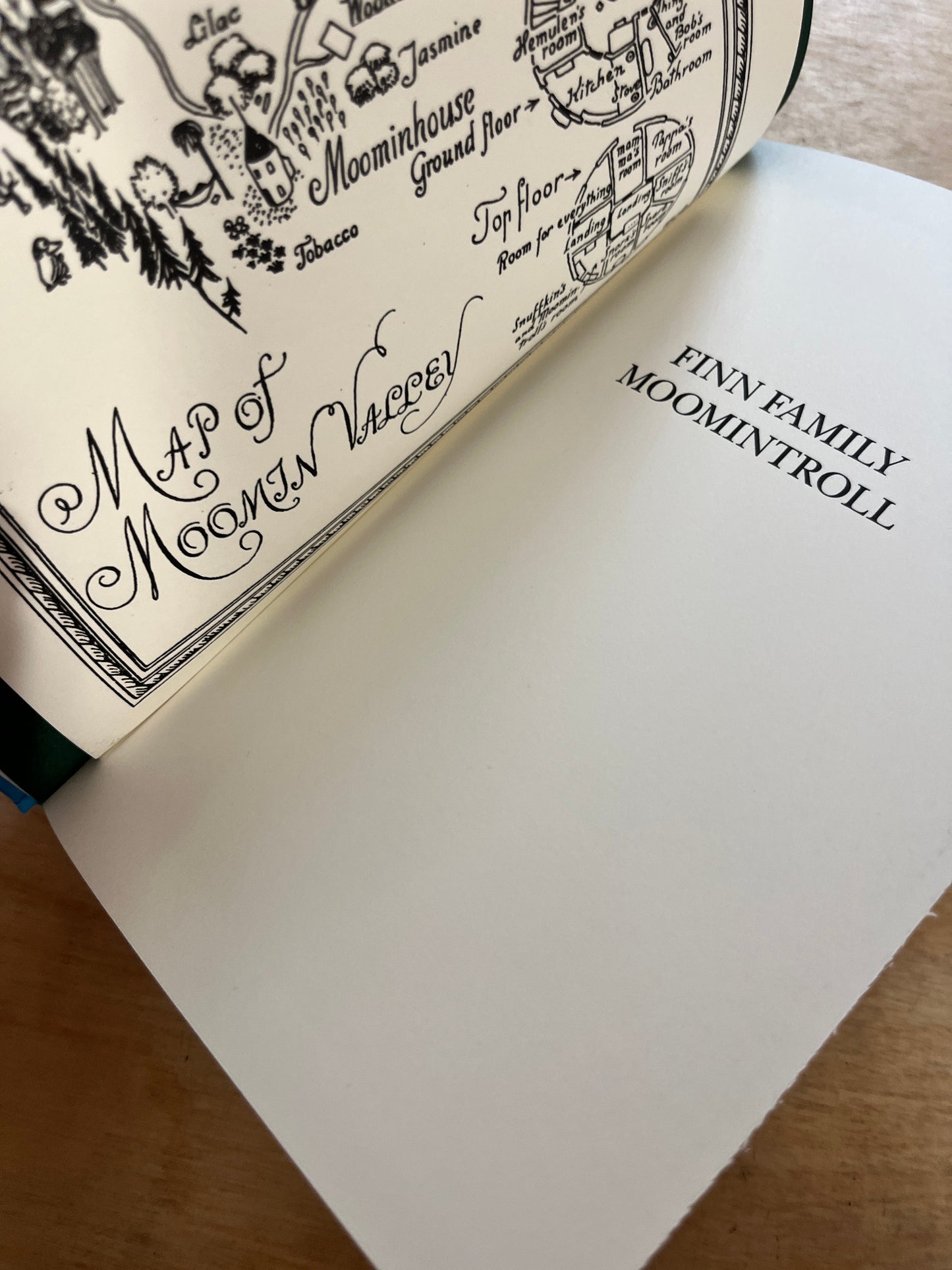 Finn Family Moomintroll