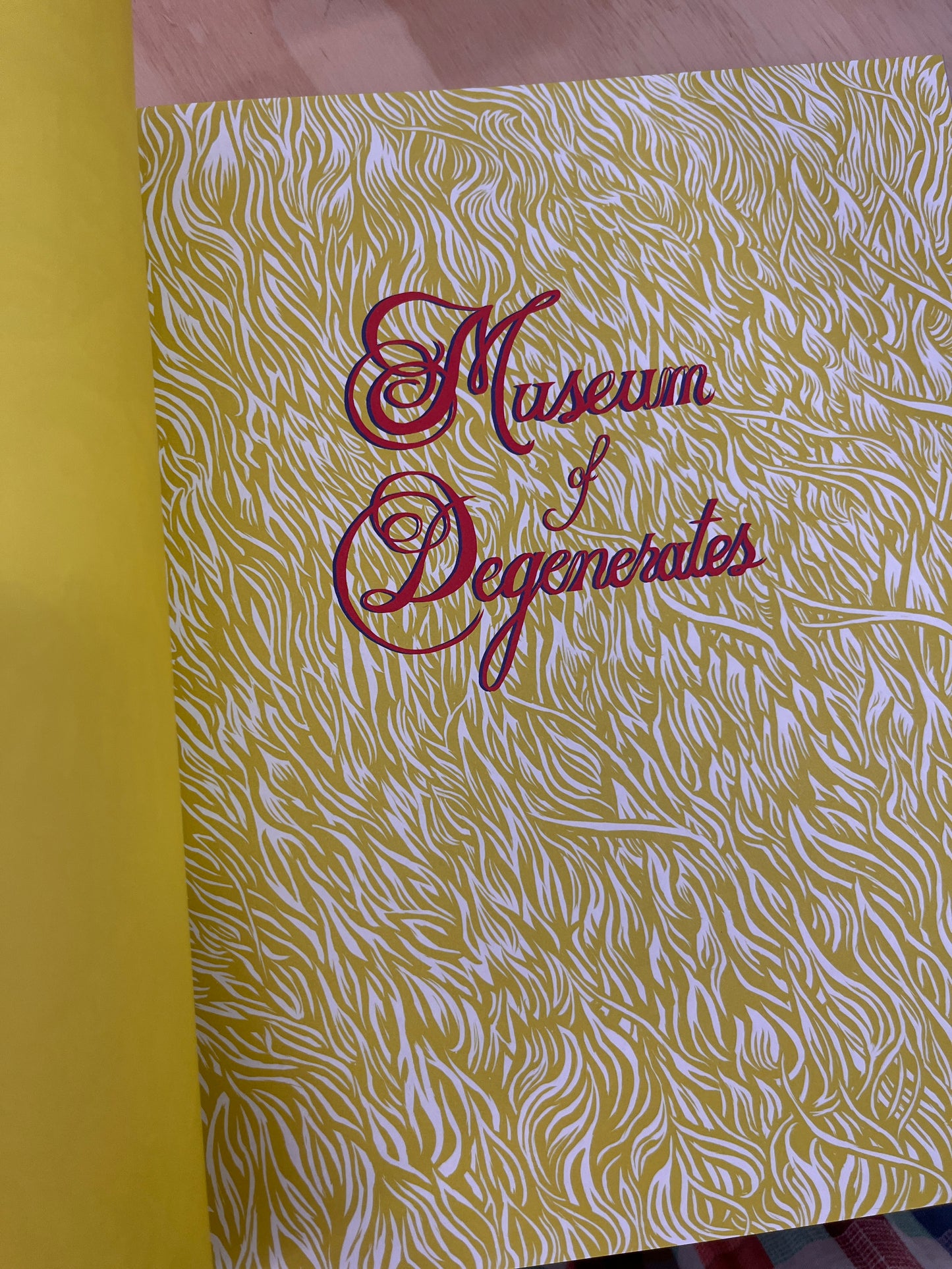 Museum of Degenerates: Portraits of the American Grotesque Book by Eli Valley