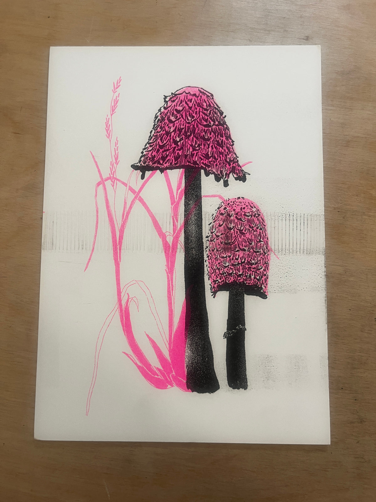 FUNGI