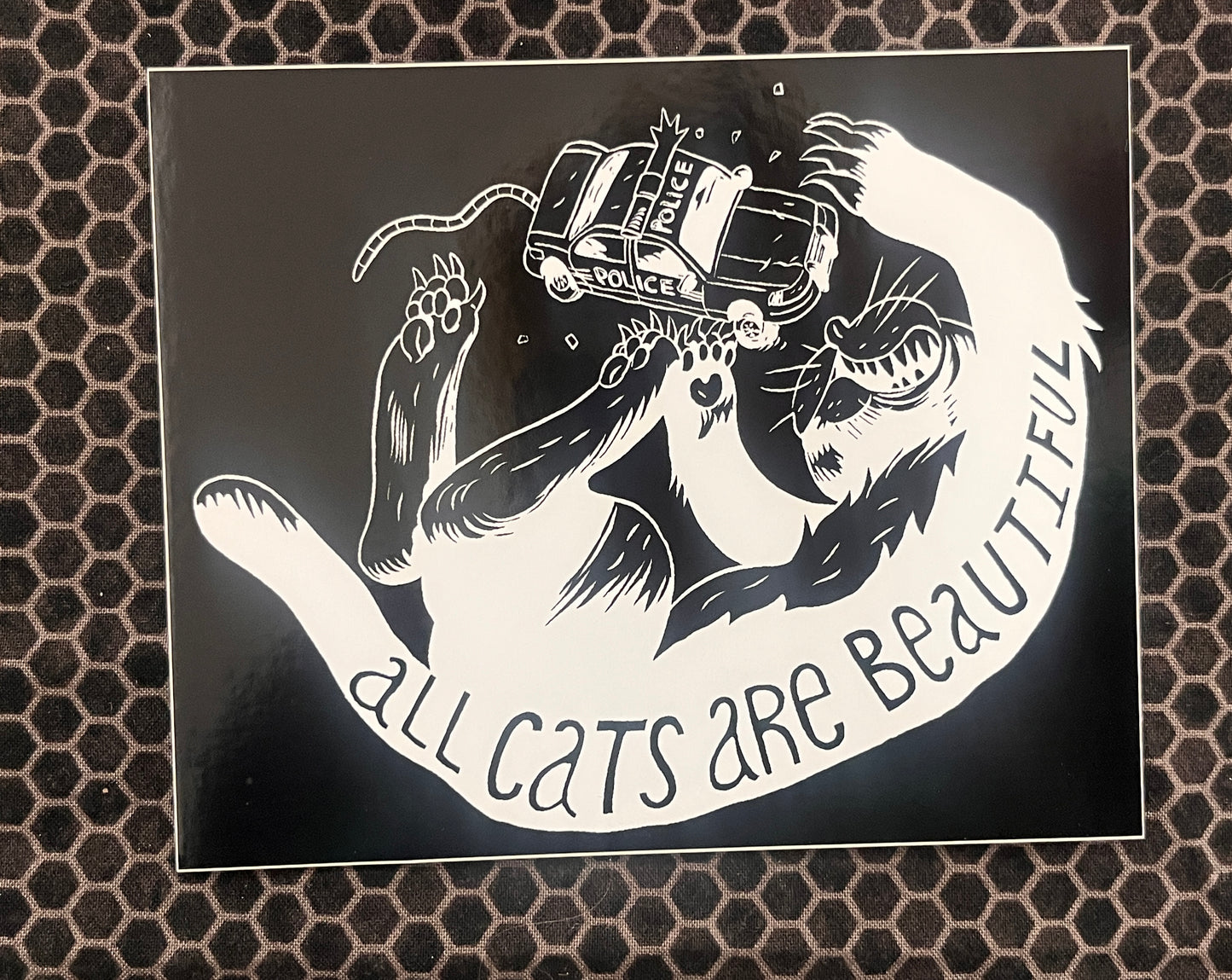 All Cats Are Beautiful