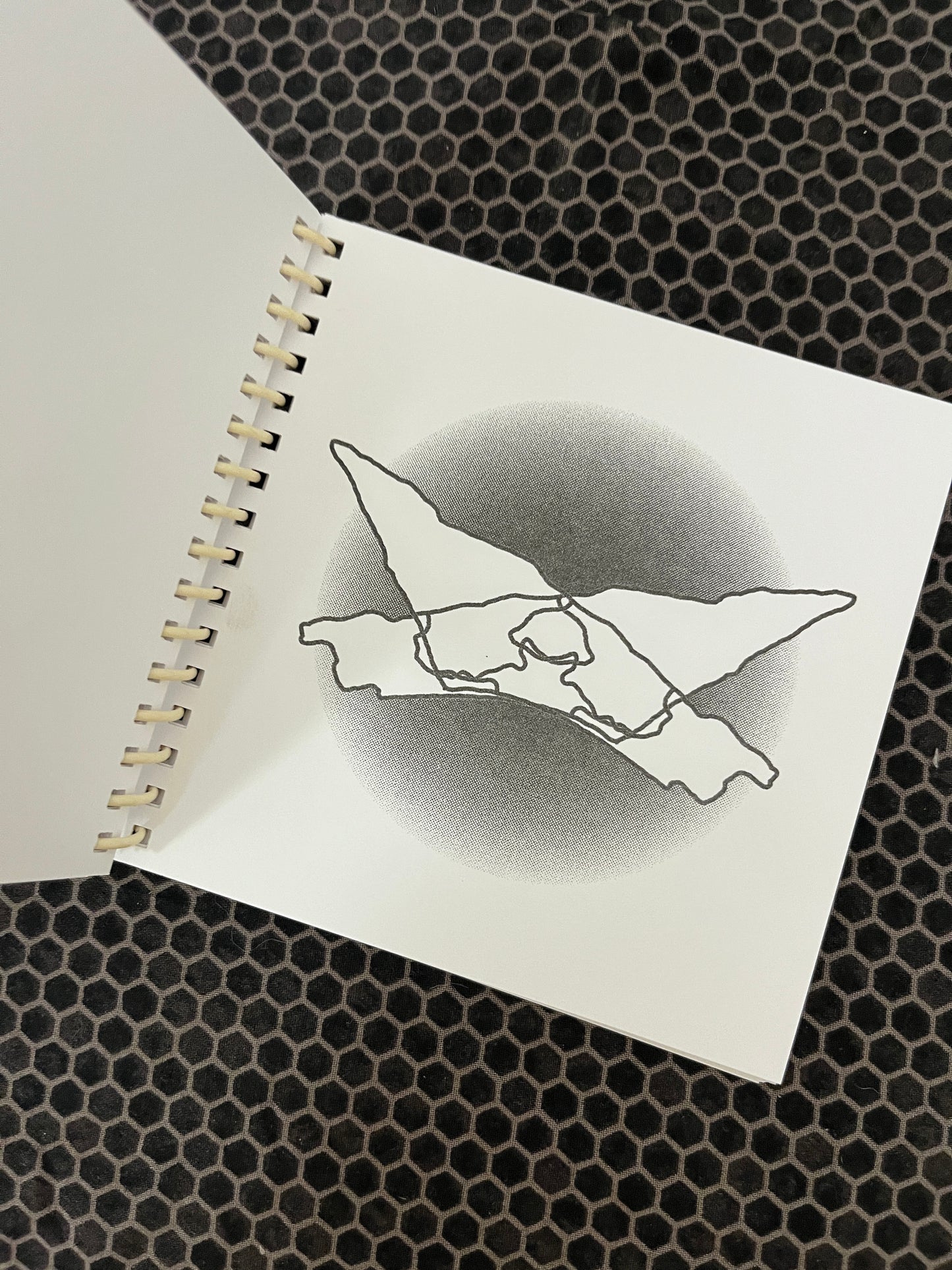 Melting Pot/ Nuclear Fusion Reactor