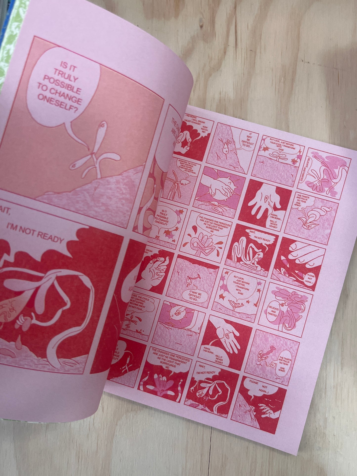 When to Pick a Pomegranate