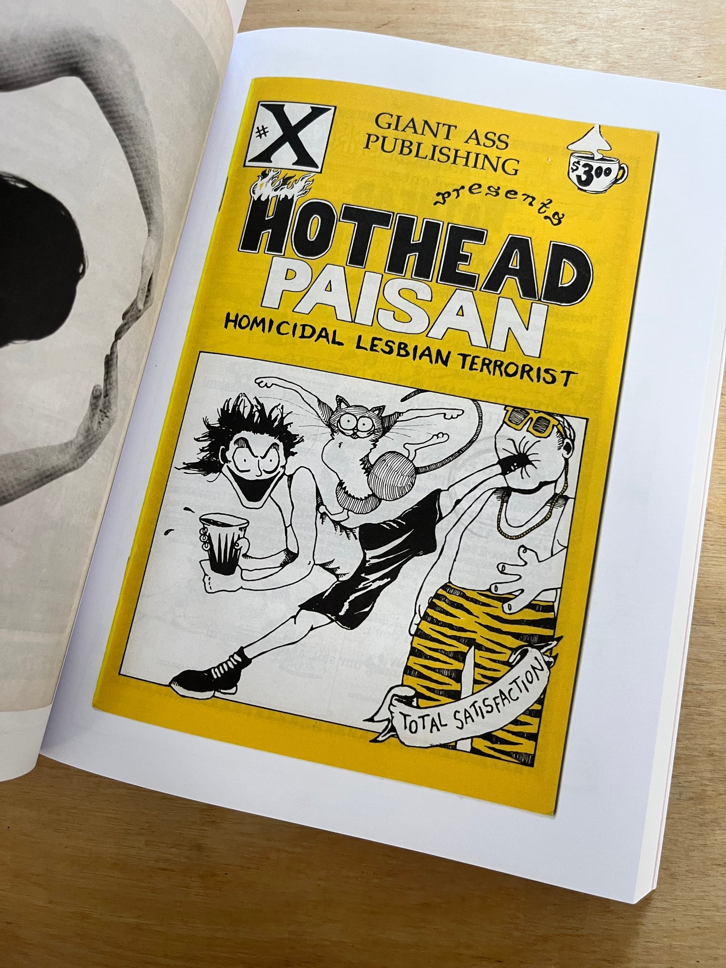 Hothead Paisan: Homicidal Lesbian Terrorist