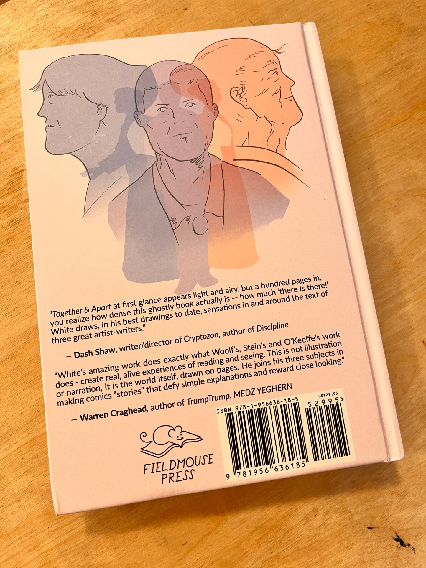 Together and Apart: Biographies of Virginia Woolf, Gertrude Stein, and Georgia O'Keeffe