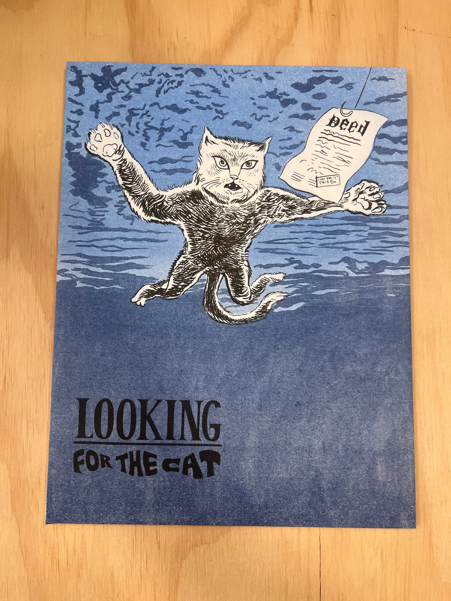 Looking for the Cat #5