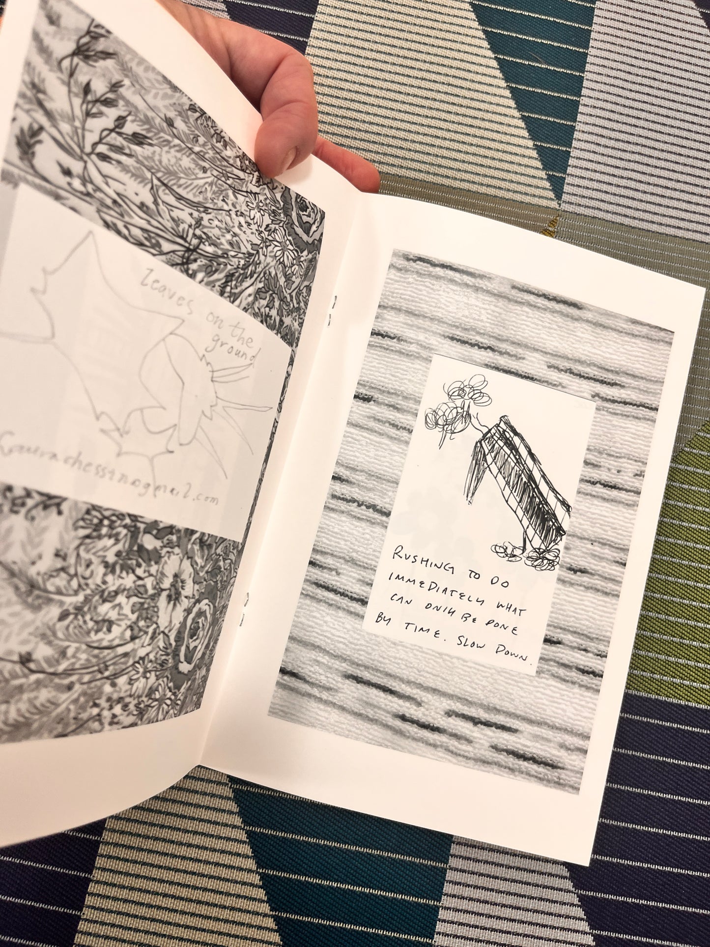 Worldwide Field Guide