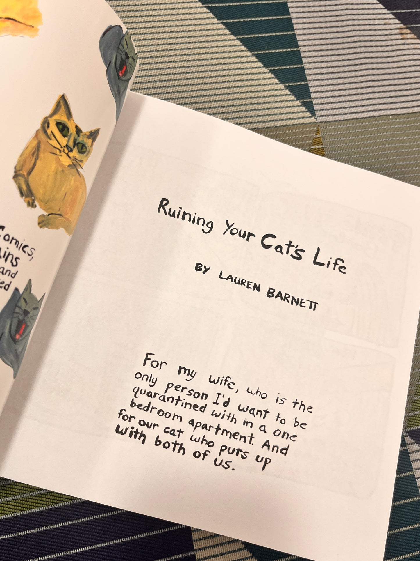 Ruining Your Cat's Life