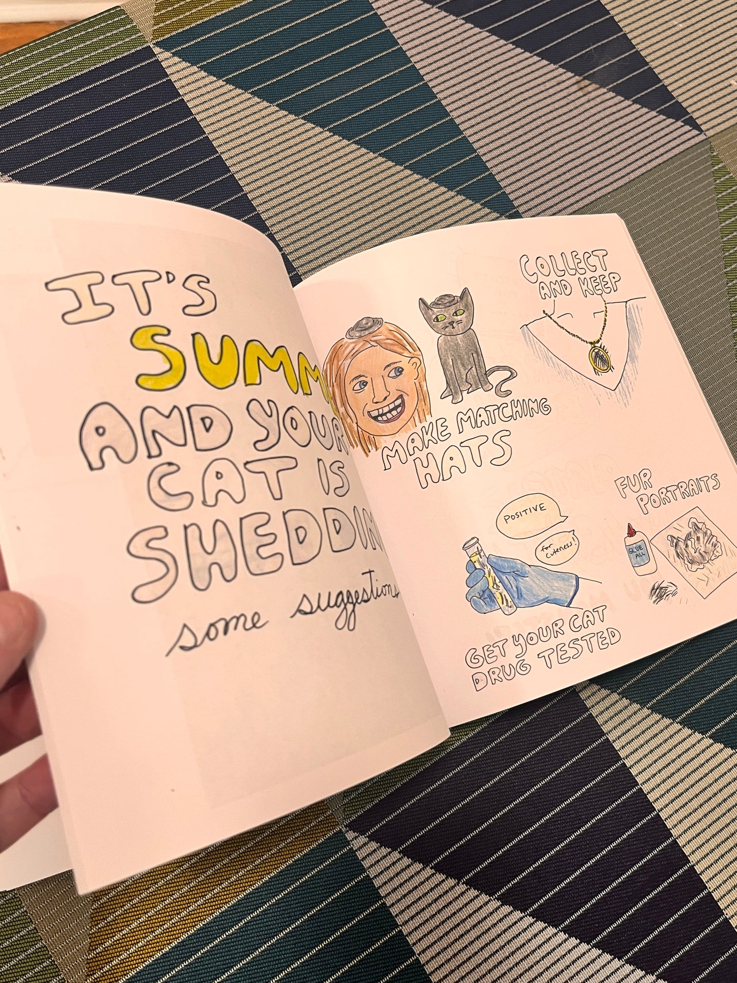 Ruining Your Cat's Life