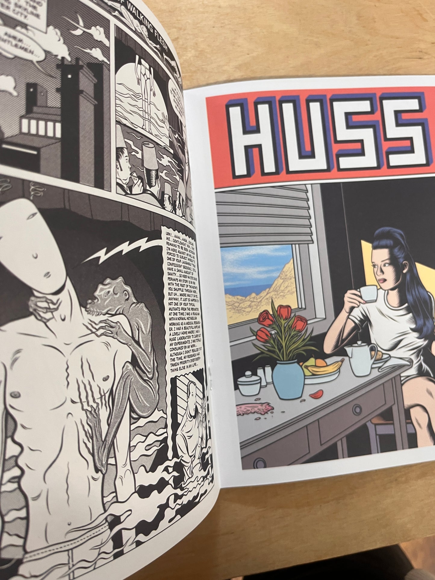 THE ART OF 1 / CHARLES BURNS