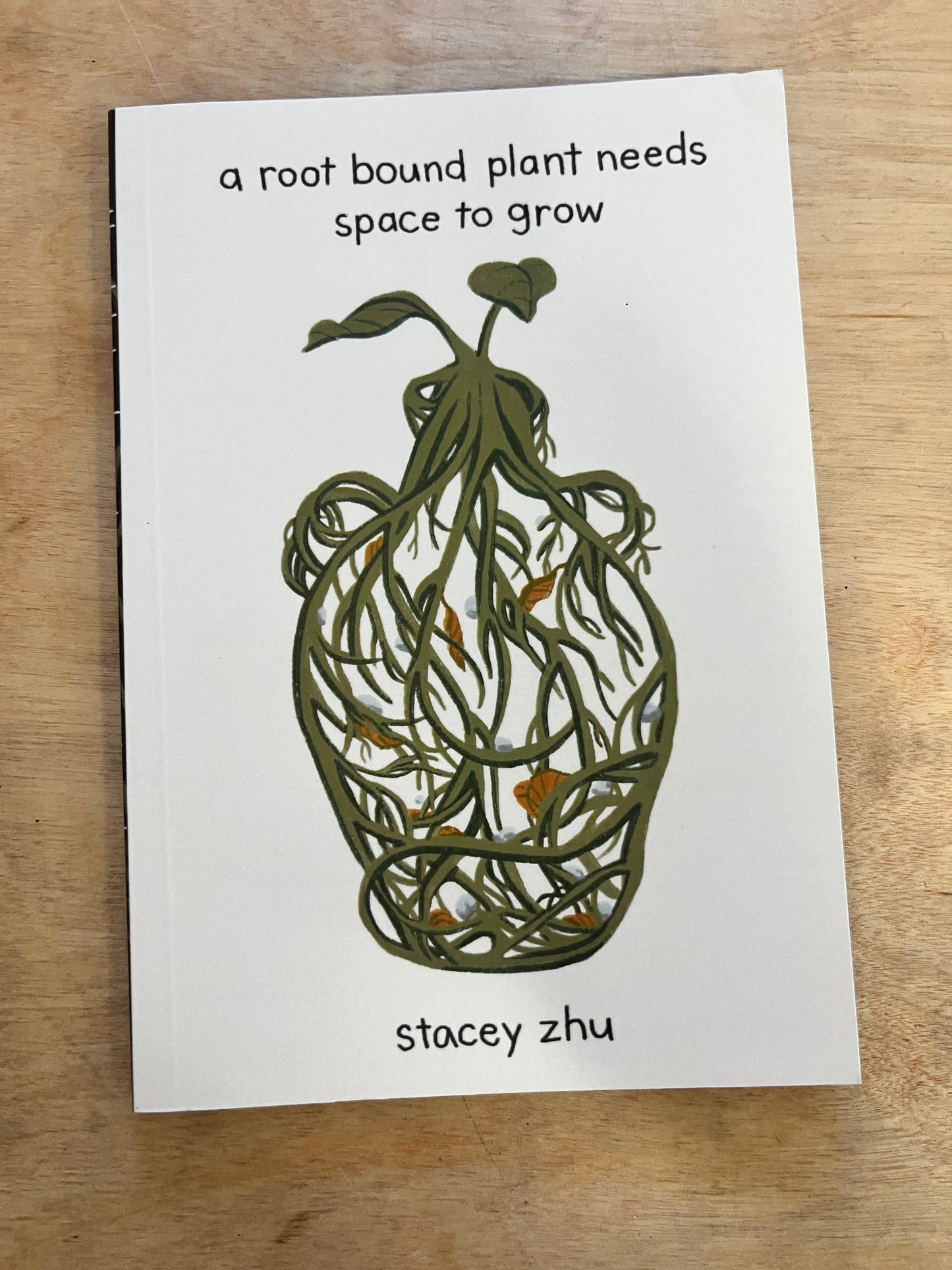 a rootbound plant needs space to grow
