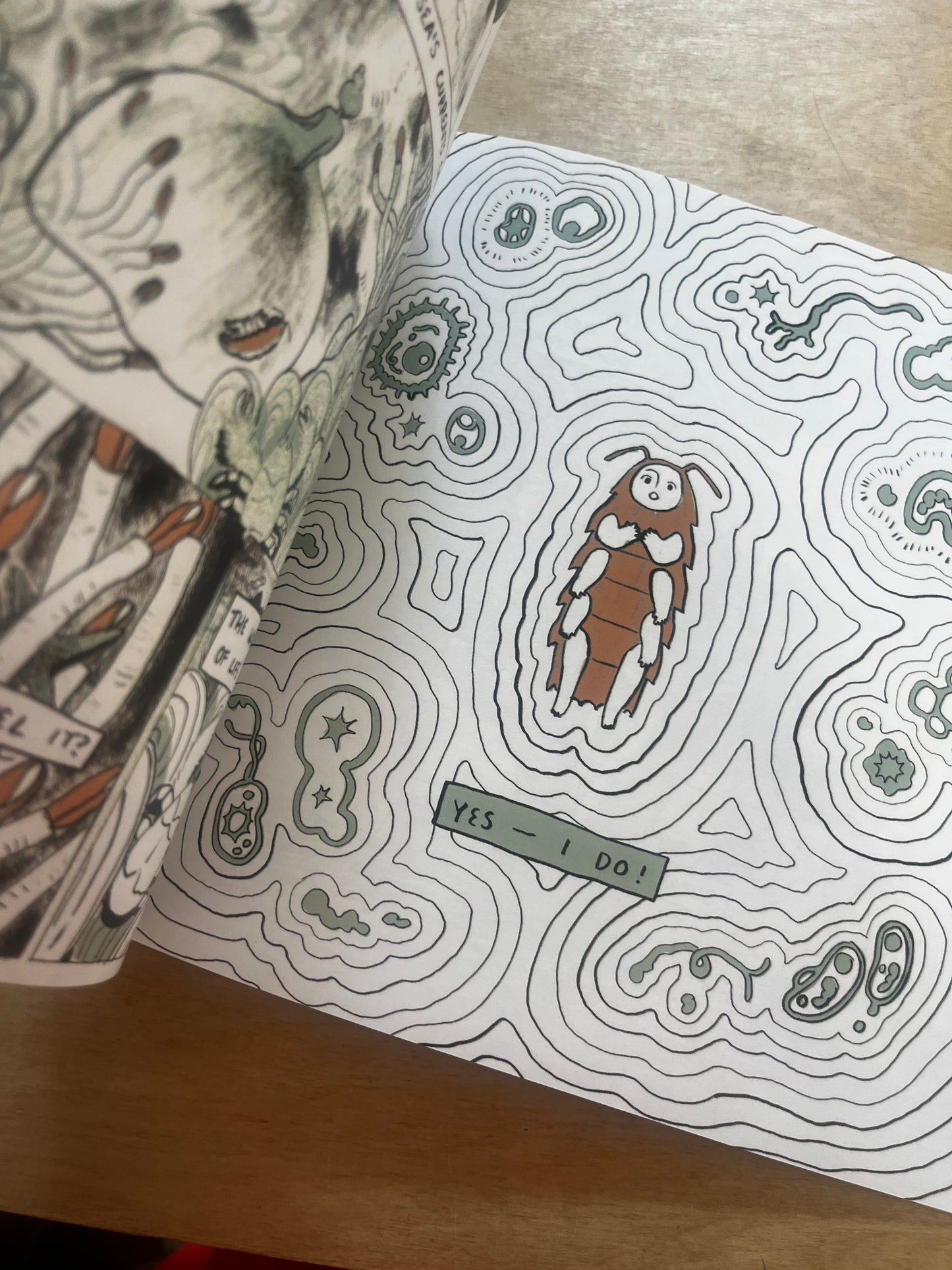 Two Points Converge in the Sea