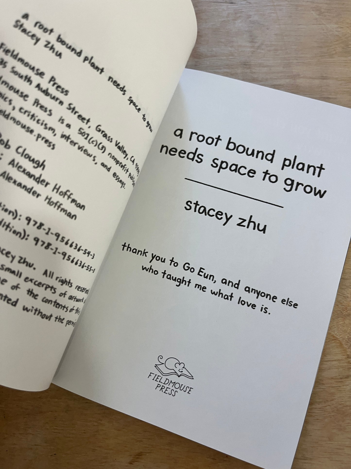 a rootbound plant needs space to grow