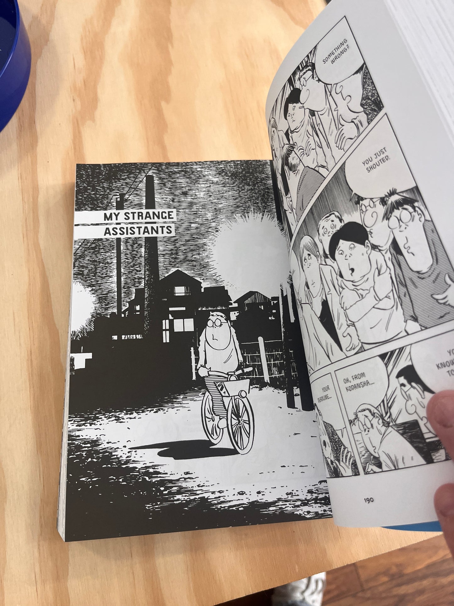 Showa 1953-1989: A History of Japan