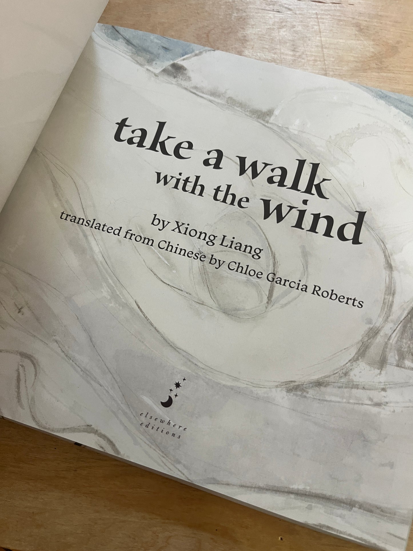 Take a Walk with the Wind