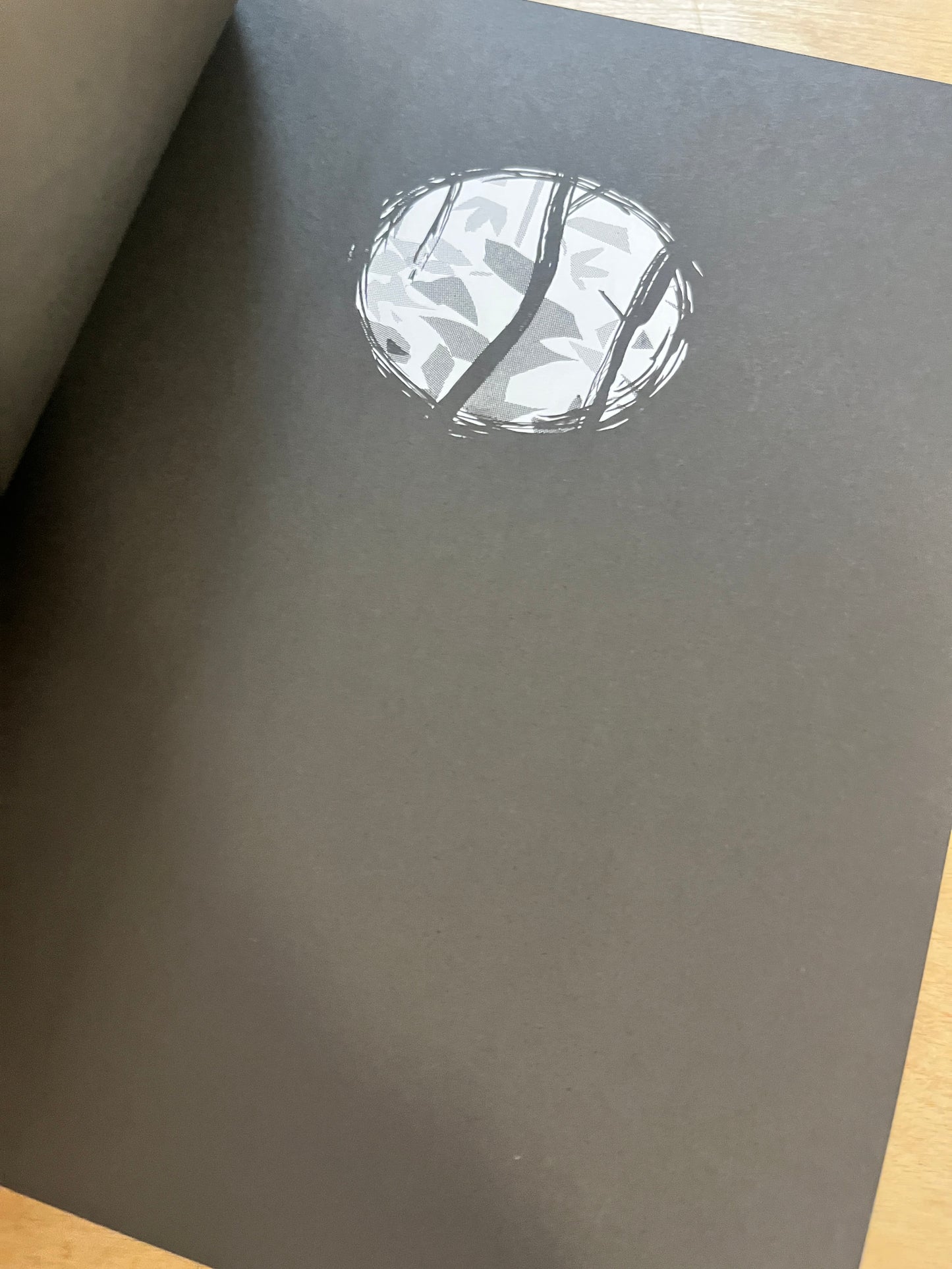 Rosalie Lightning: A Graphic Memoir