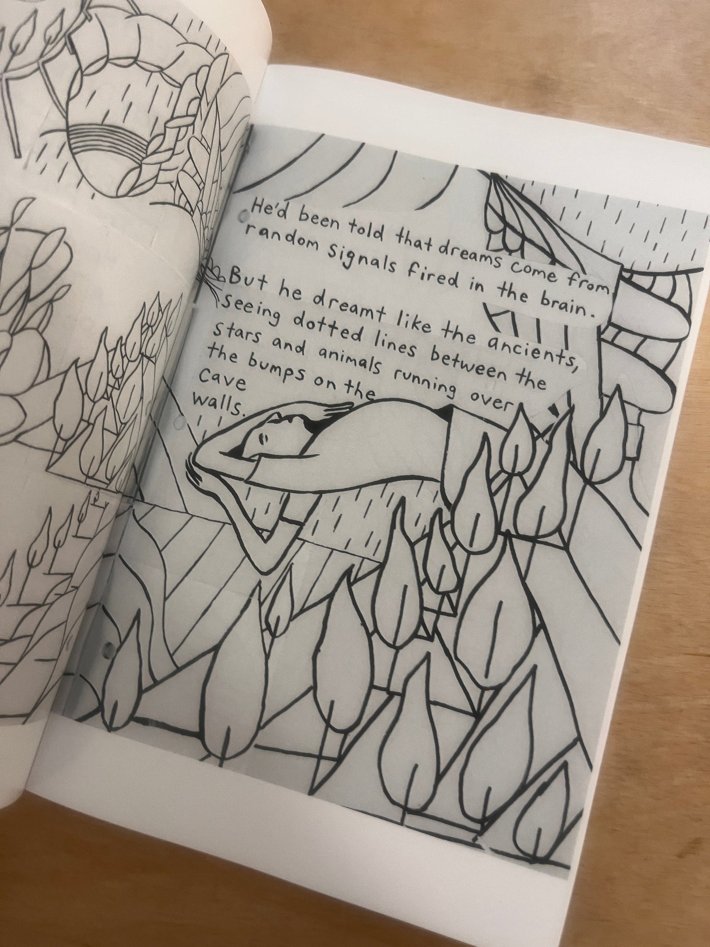 Introverts Illustrated Bundle