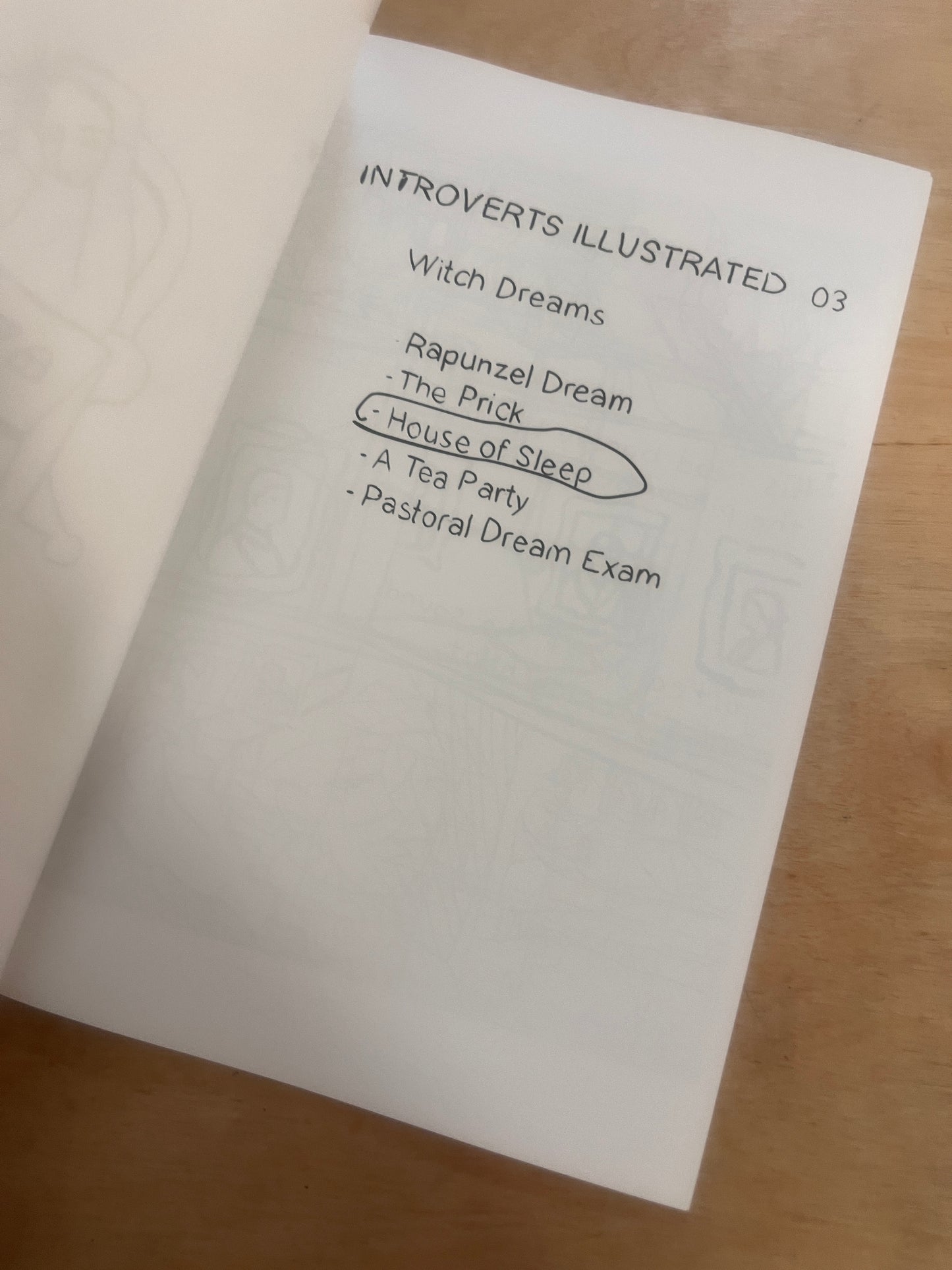 Introverts Illustrated Bundle