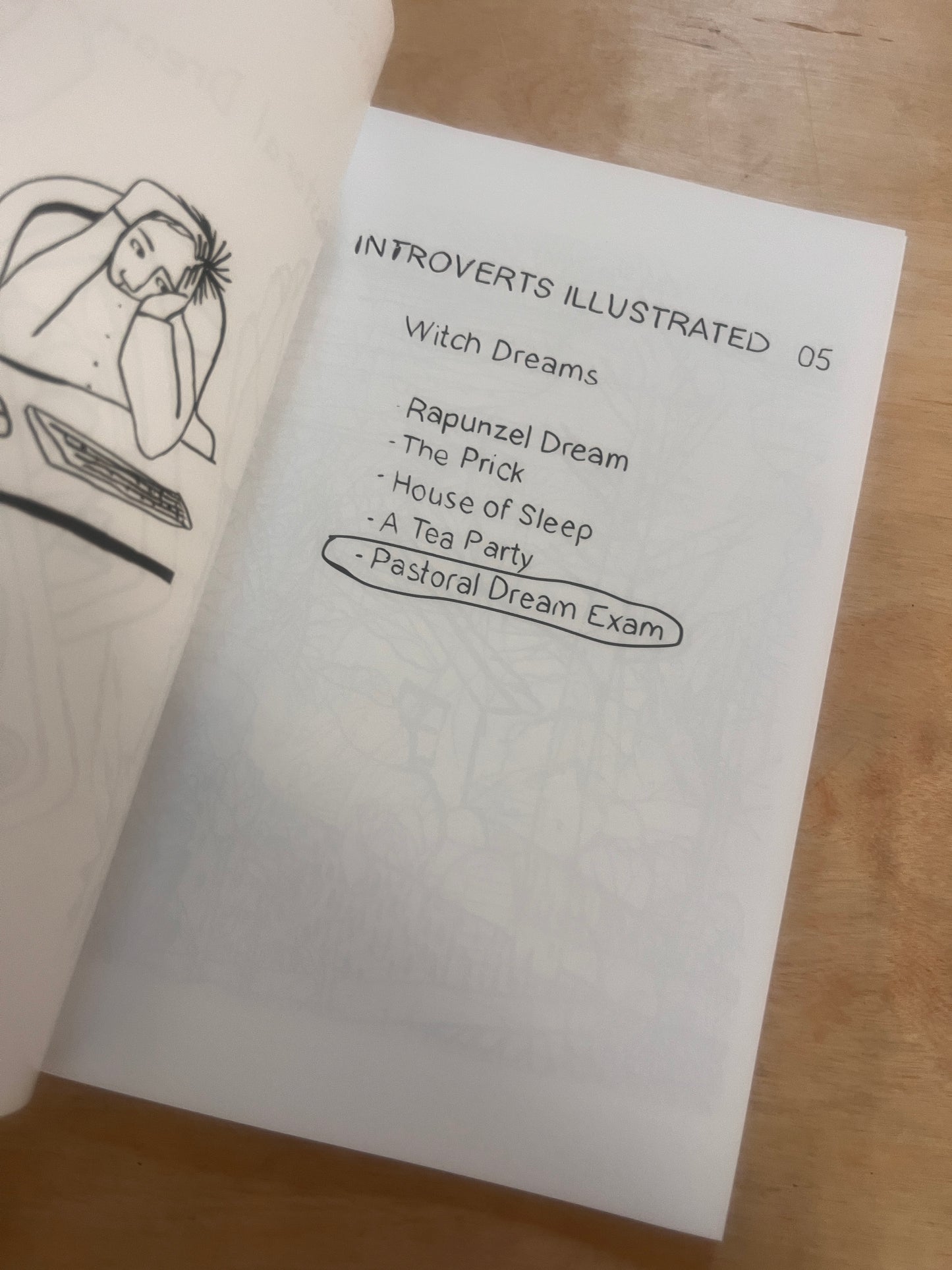 Introverts Illustrated Bundle