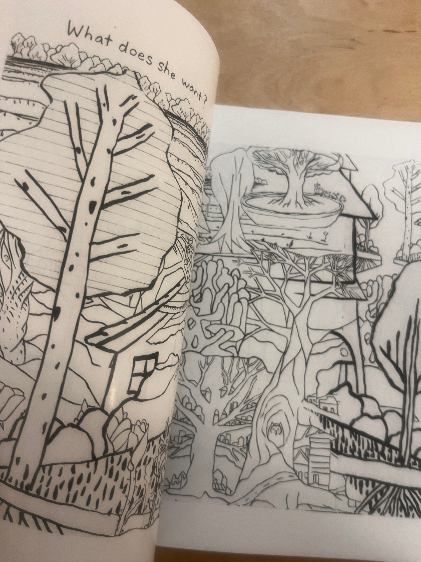 Introverts Illustrated Bundle