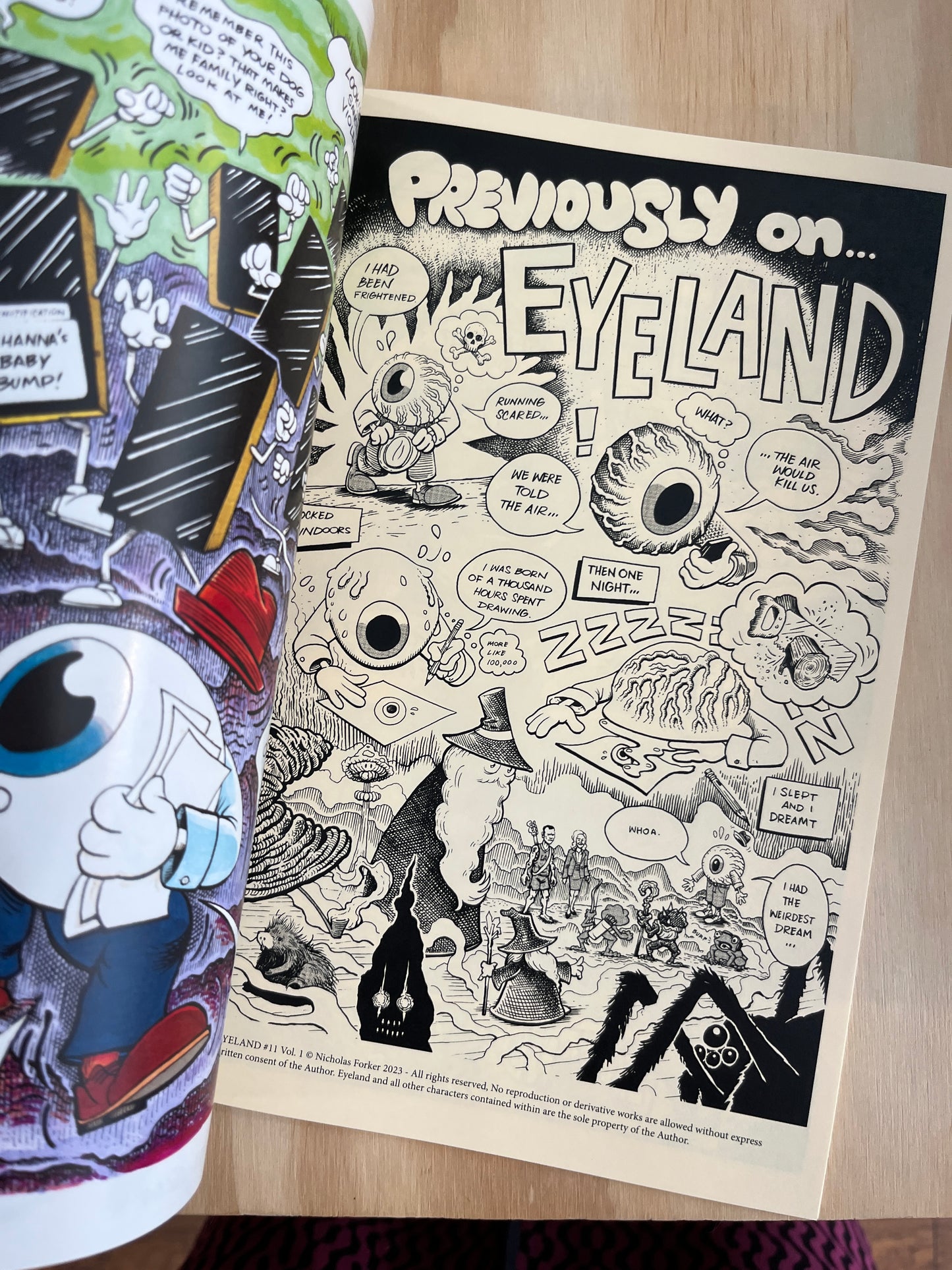Eyeland #11