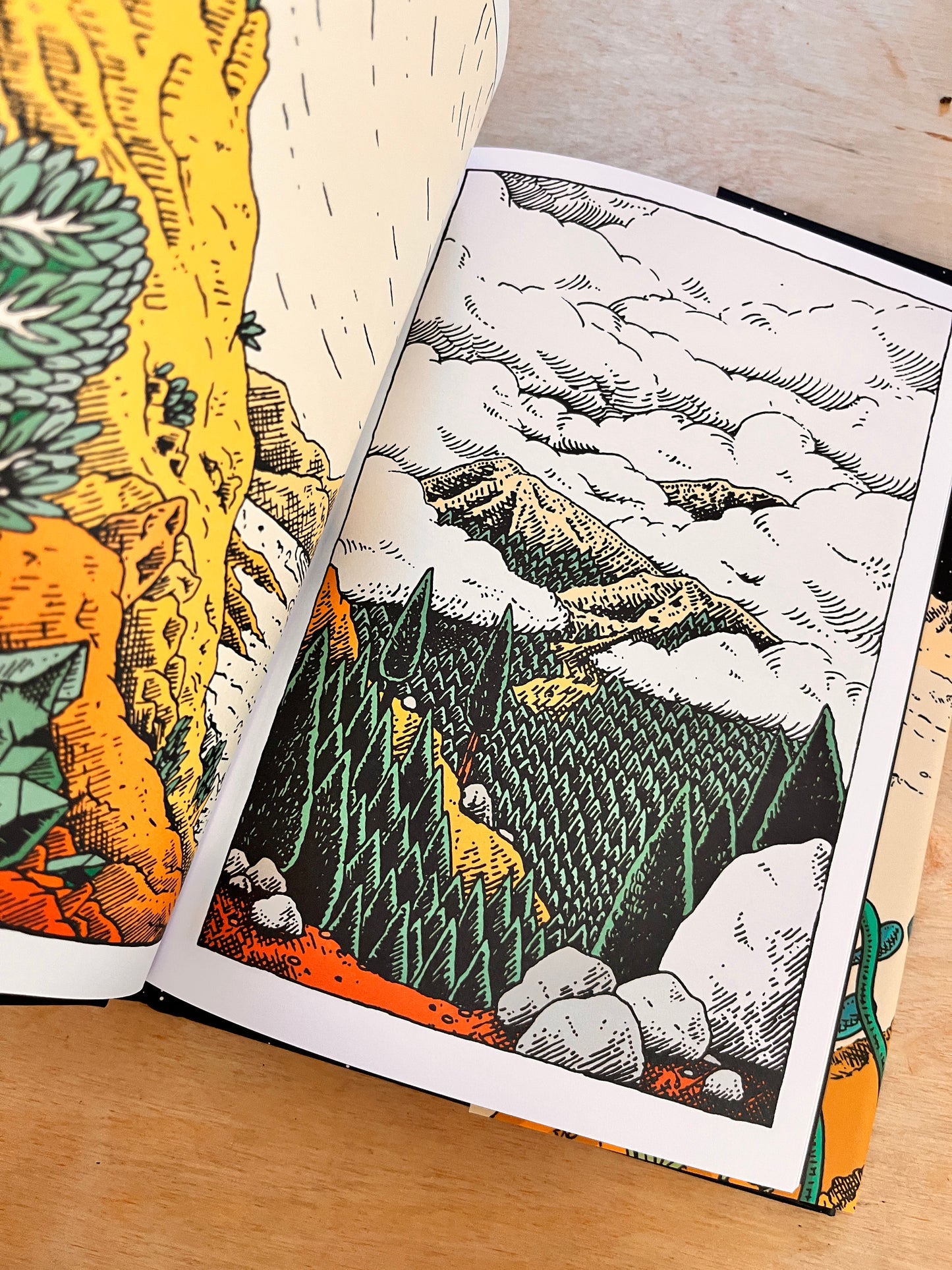 The Wilderness Collection