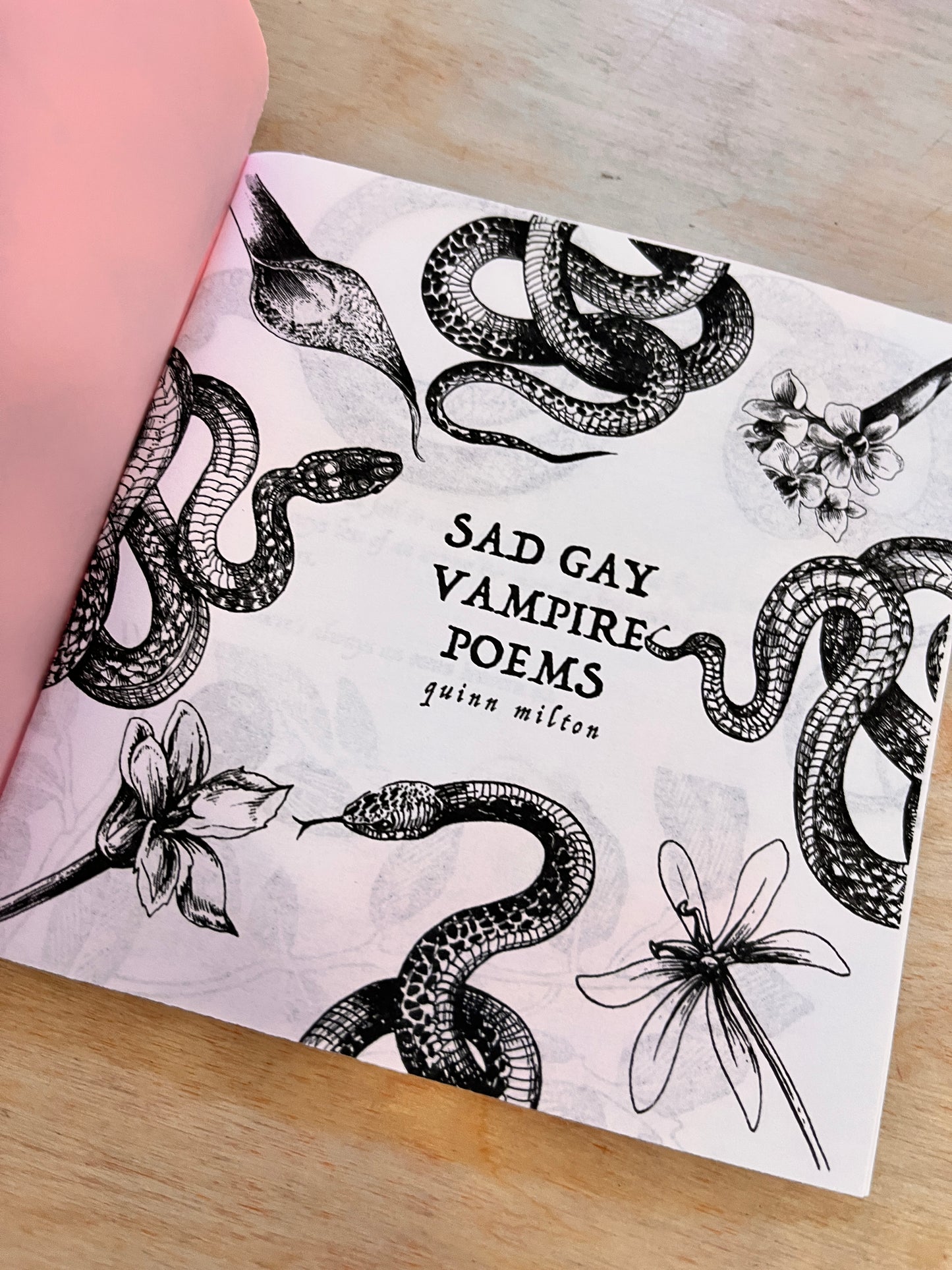 Sad Gay Vampire Poems