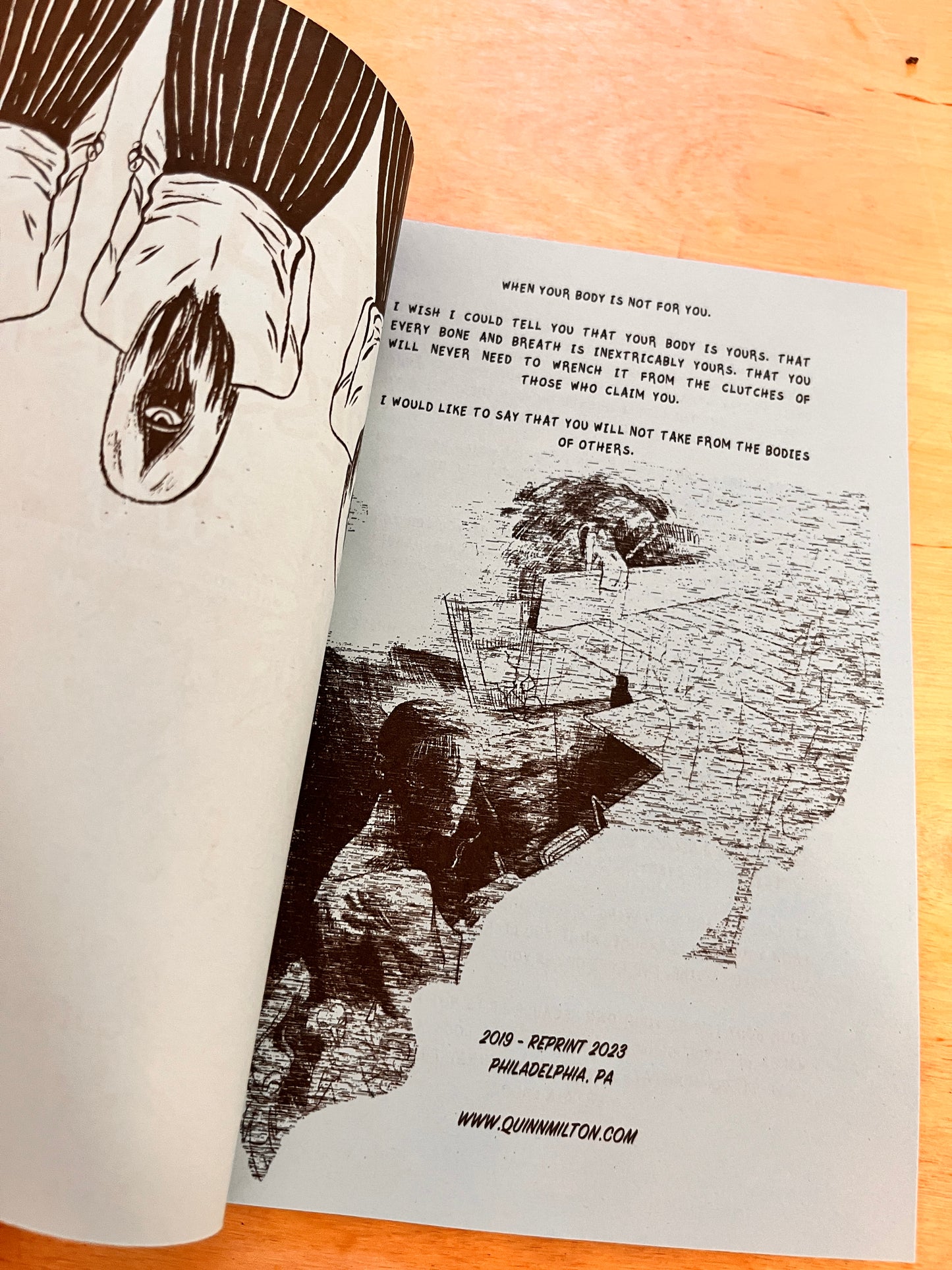 WHEN YOUR BODY IS NOT YOUR OWN: an artifact of trans pessimism