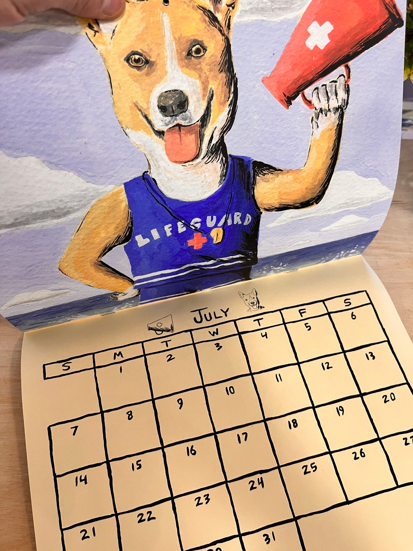 Steve Teare Pet Portraits 2024 Calendar