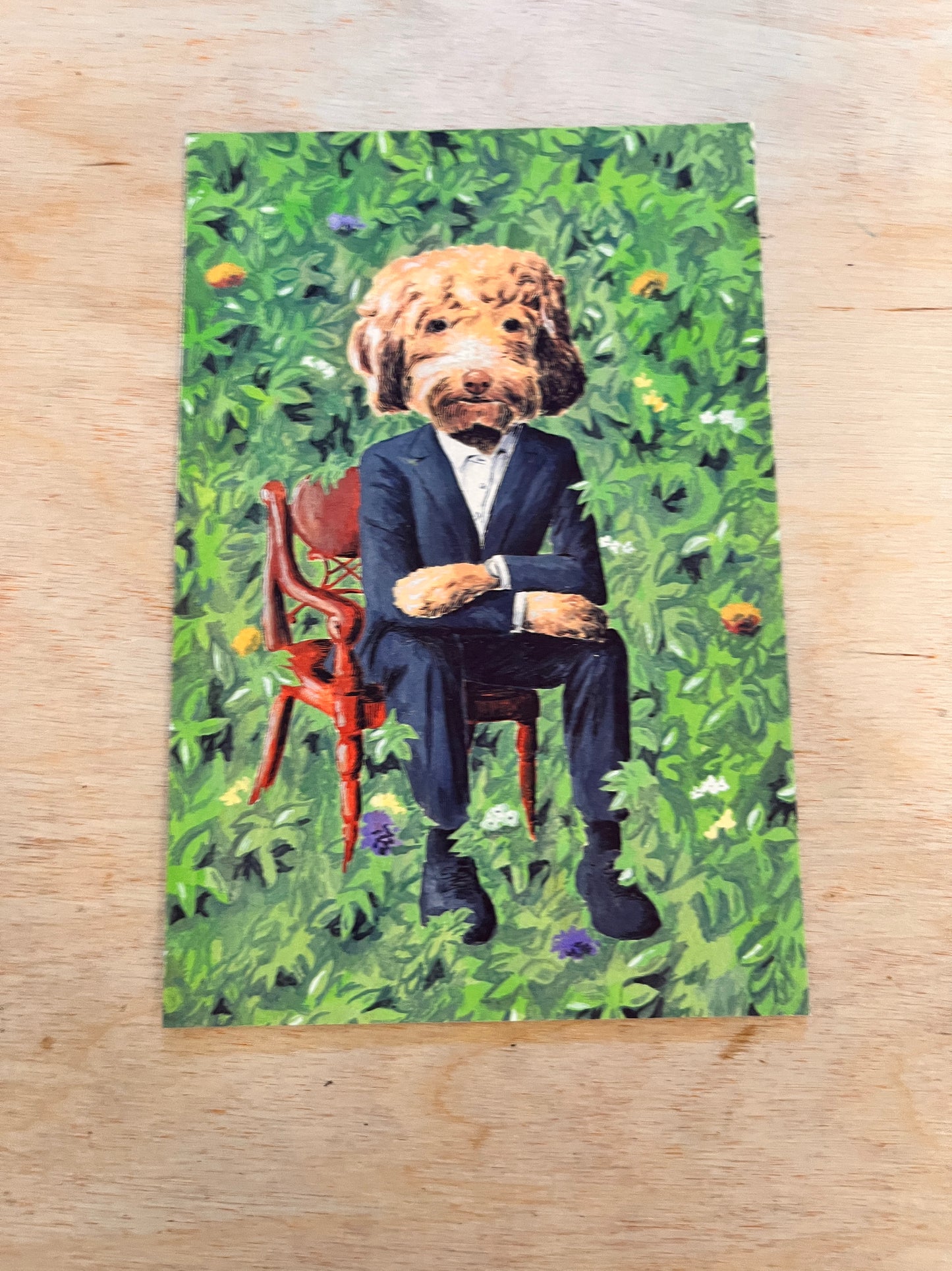 Steve Teare Pet Portraits Postcard Sets
