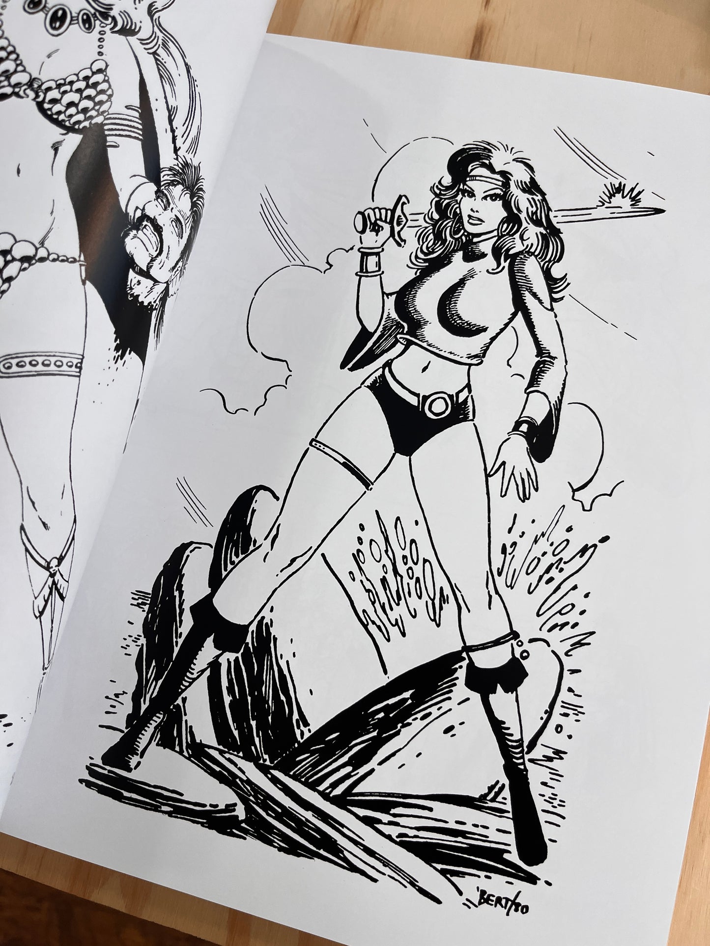 Love and Rockets: The Sketchbooks