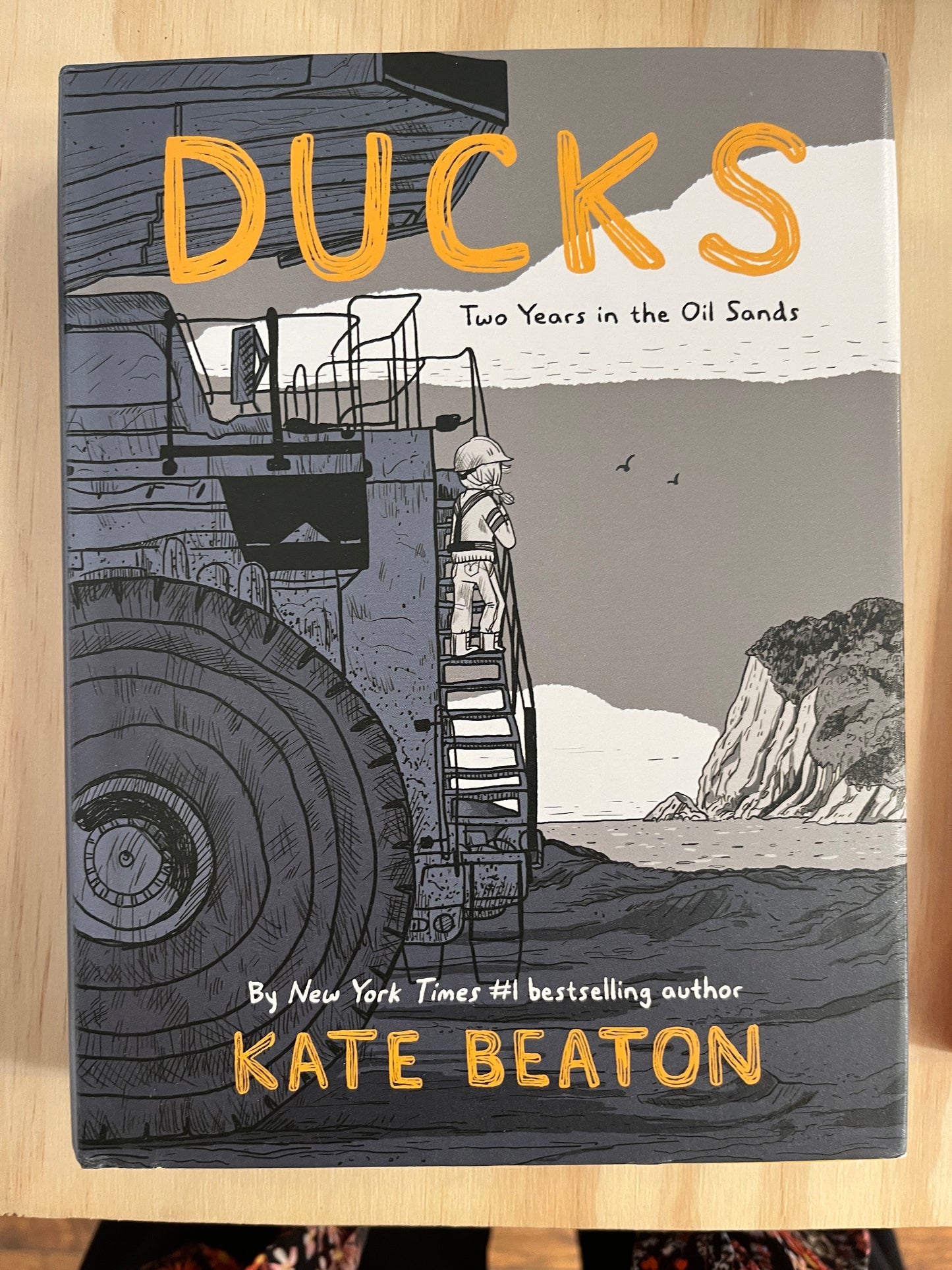 Ducks: Two Years in the Oil Sands