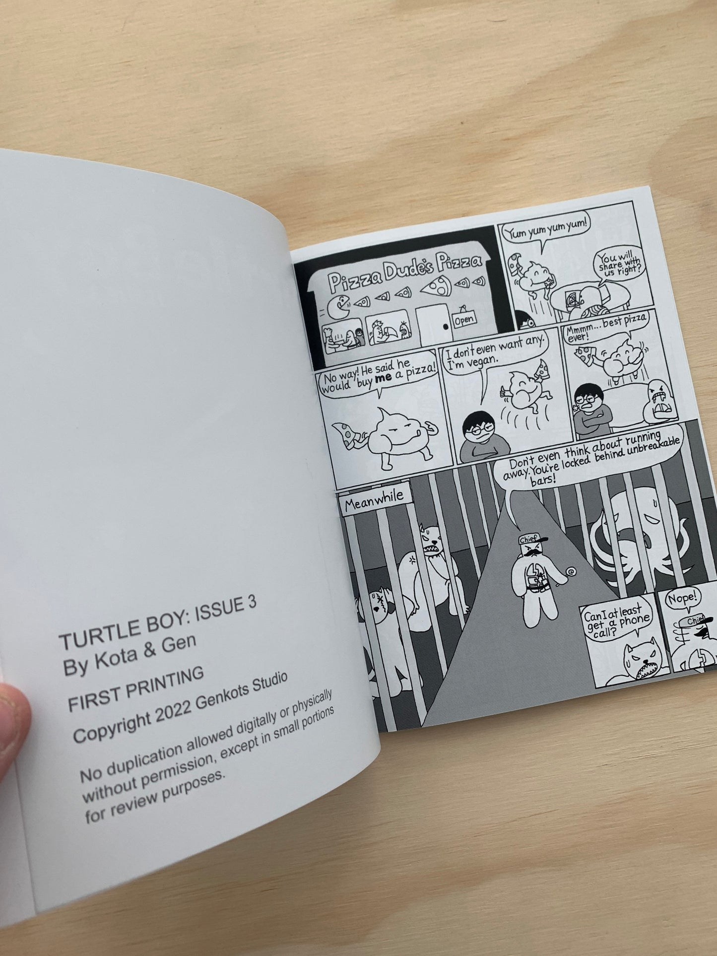 Turtle Boy Issue 3