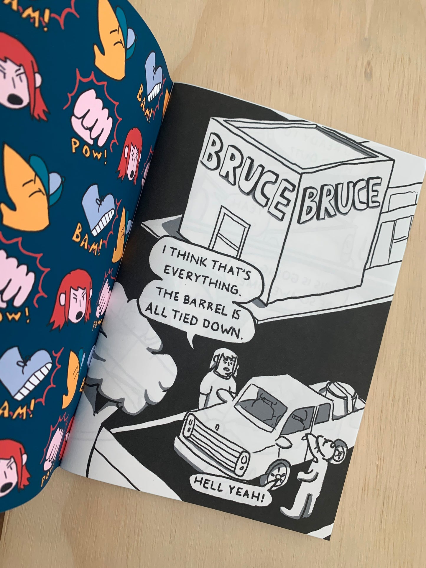 Bruce Fort: Professional Bully