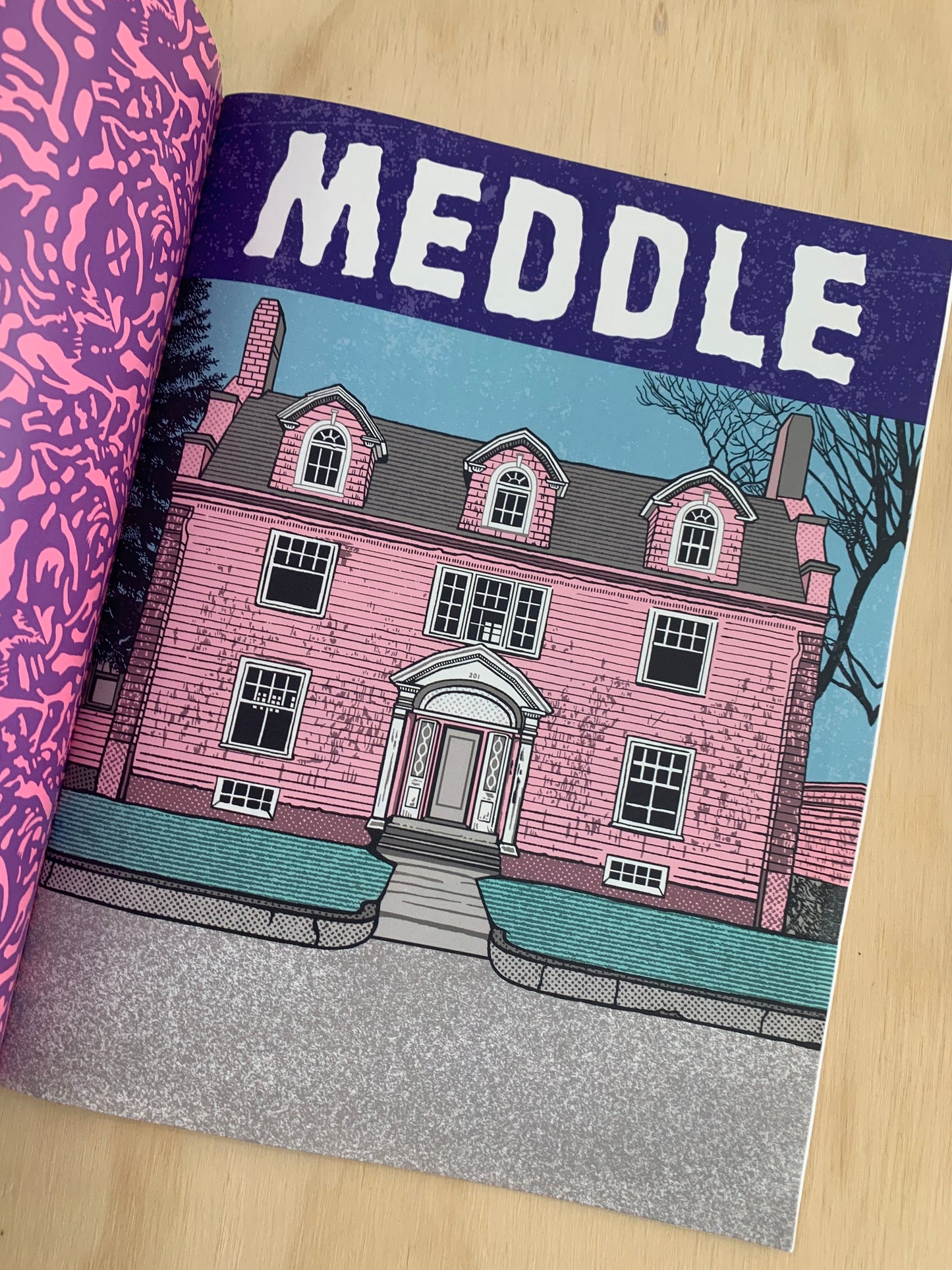 Meddle