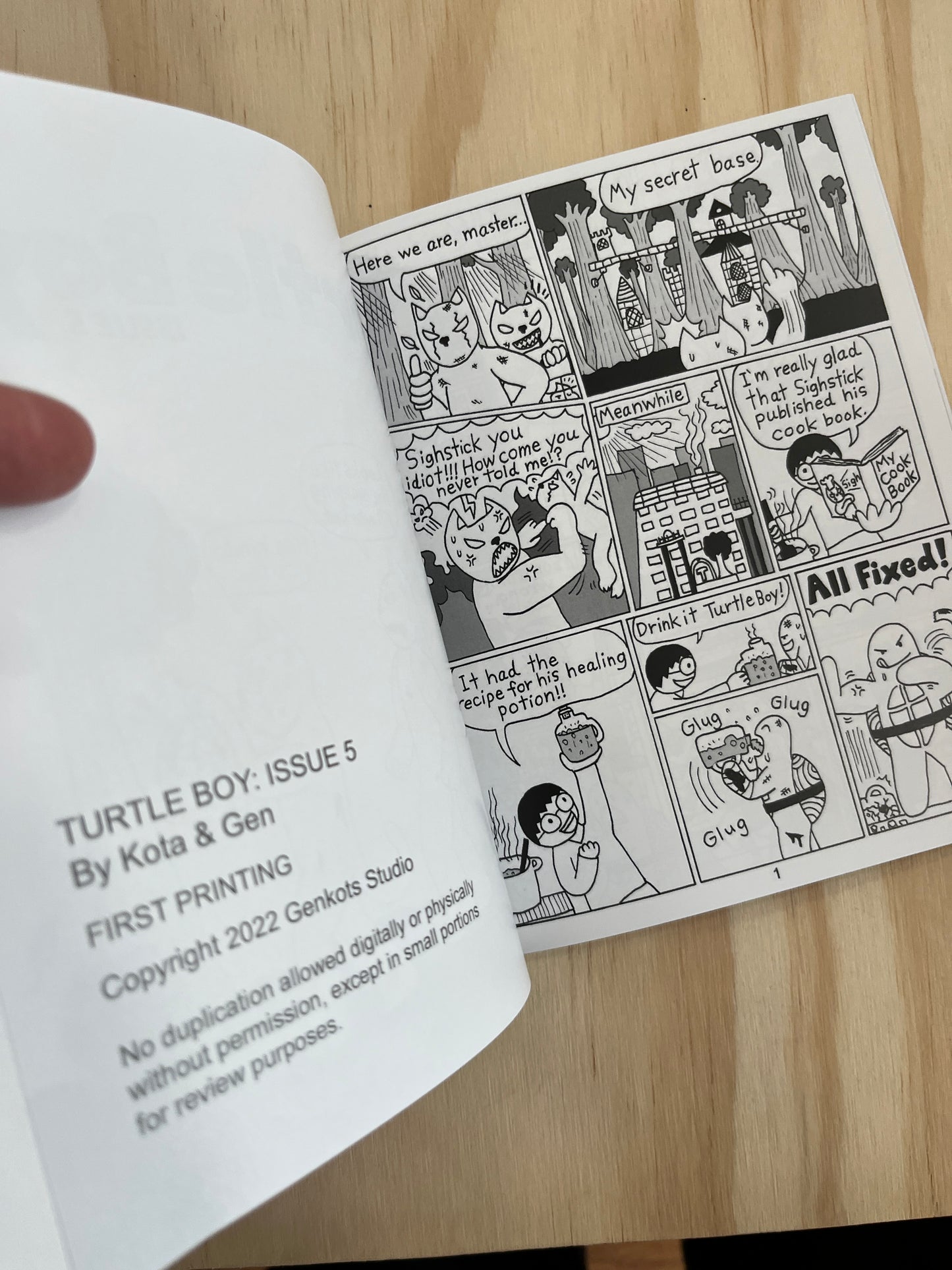 Turtle Boy Issue 5