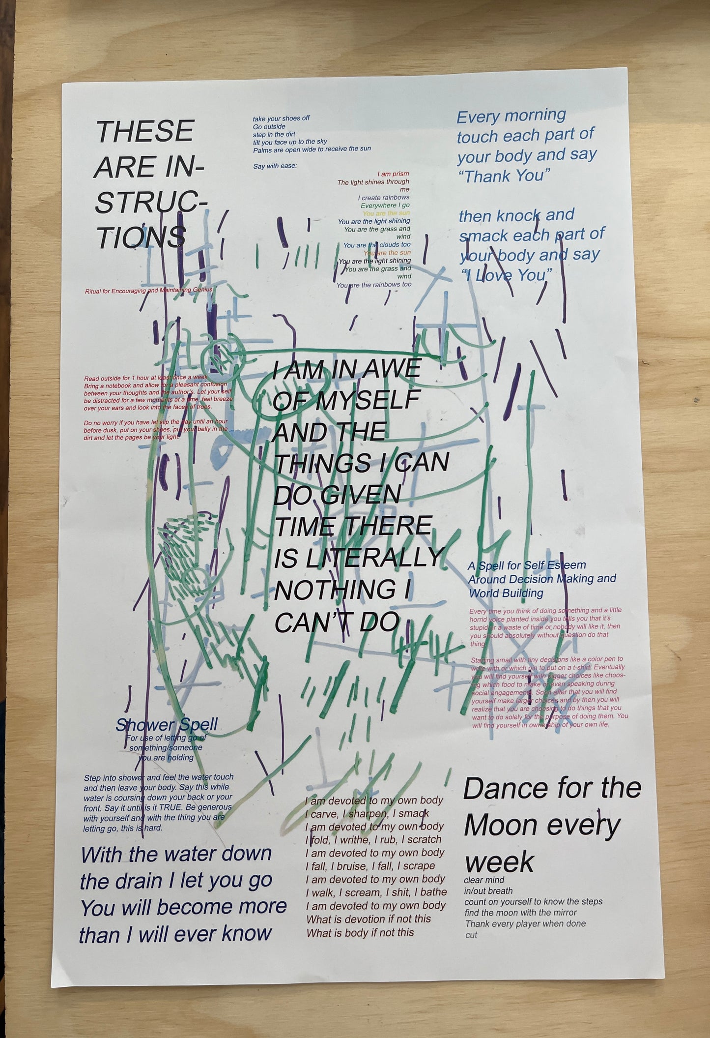 Lane Timothy Speidel Poster: These are Instructions