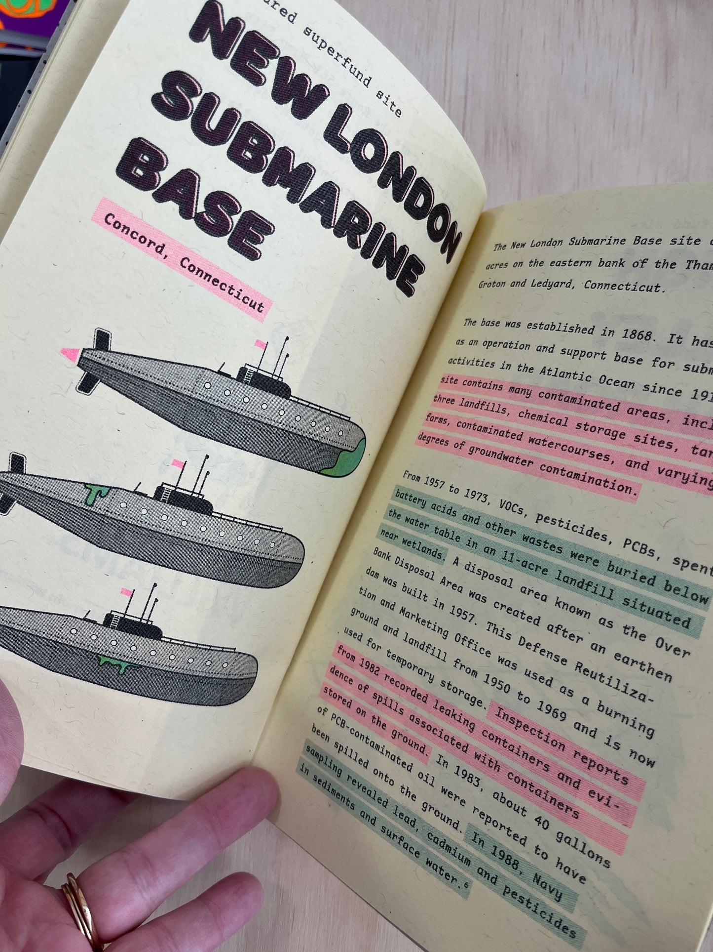 Toxic Lagoon Superfund Zine - Northeastern Edition!