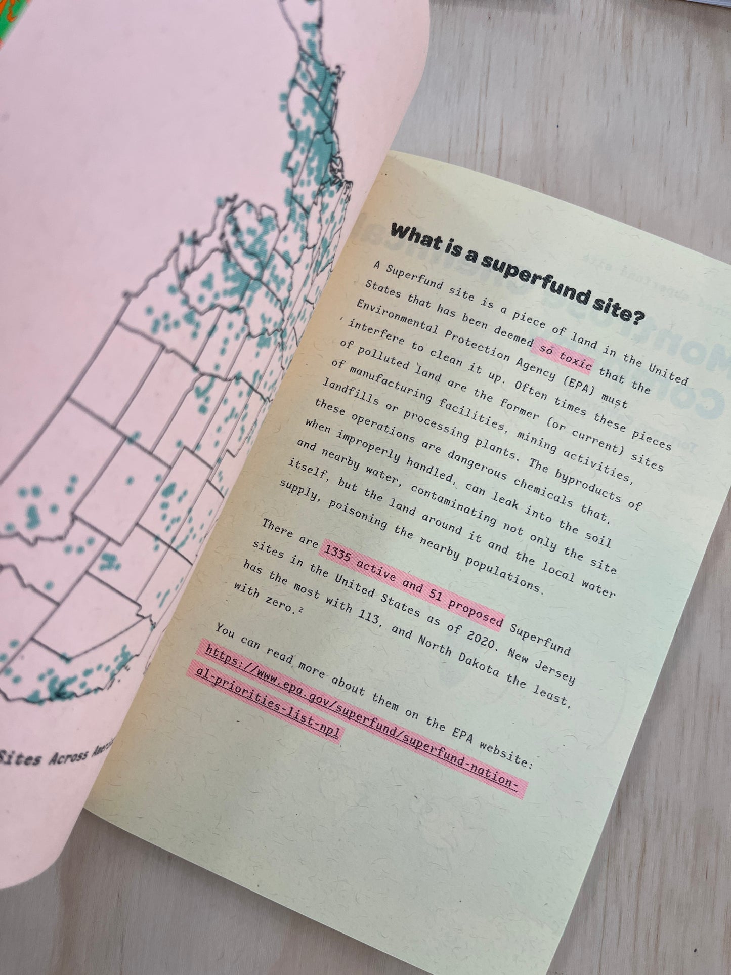 Toxic Lagoons - West Coast Edition zine!