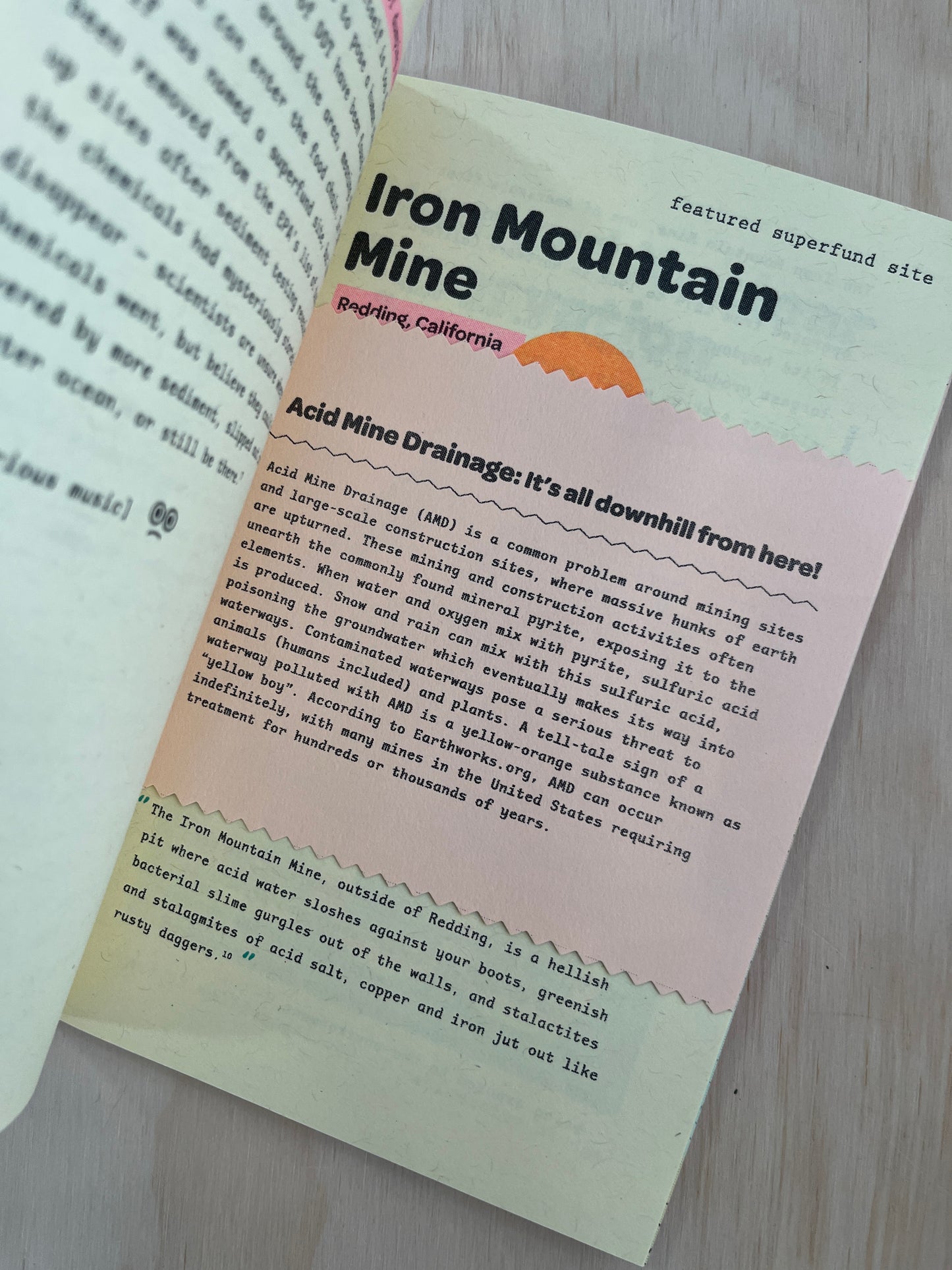 Toxic Lagoons - West Coast Edition zine!