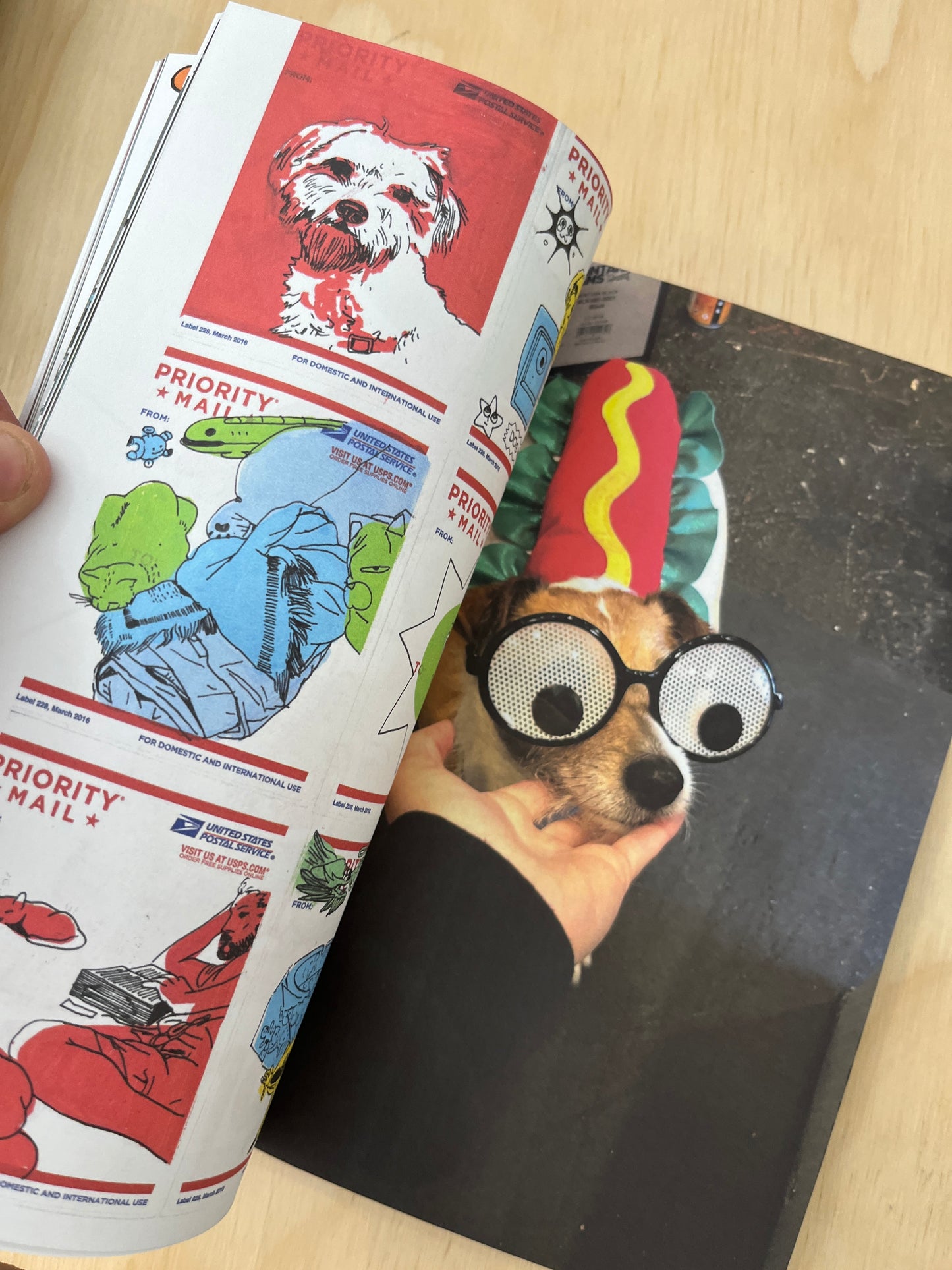 Picklejar Vol 5 'Dogs'