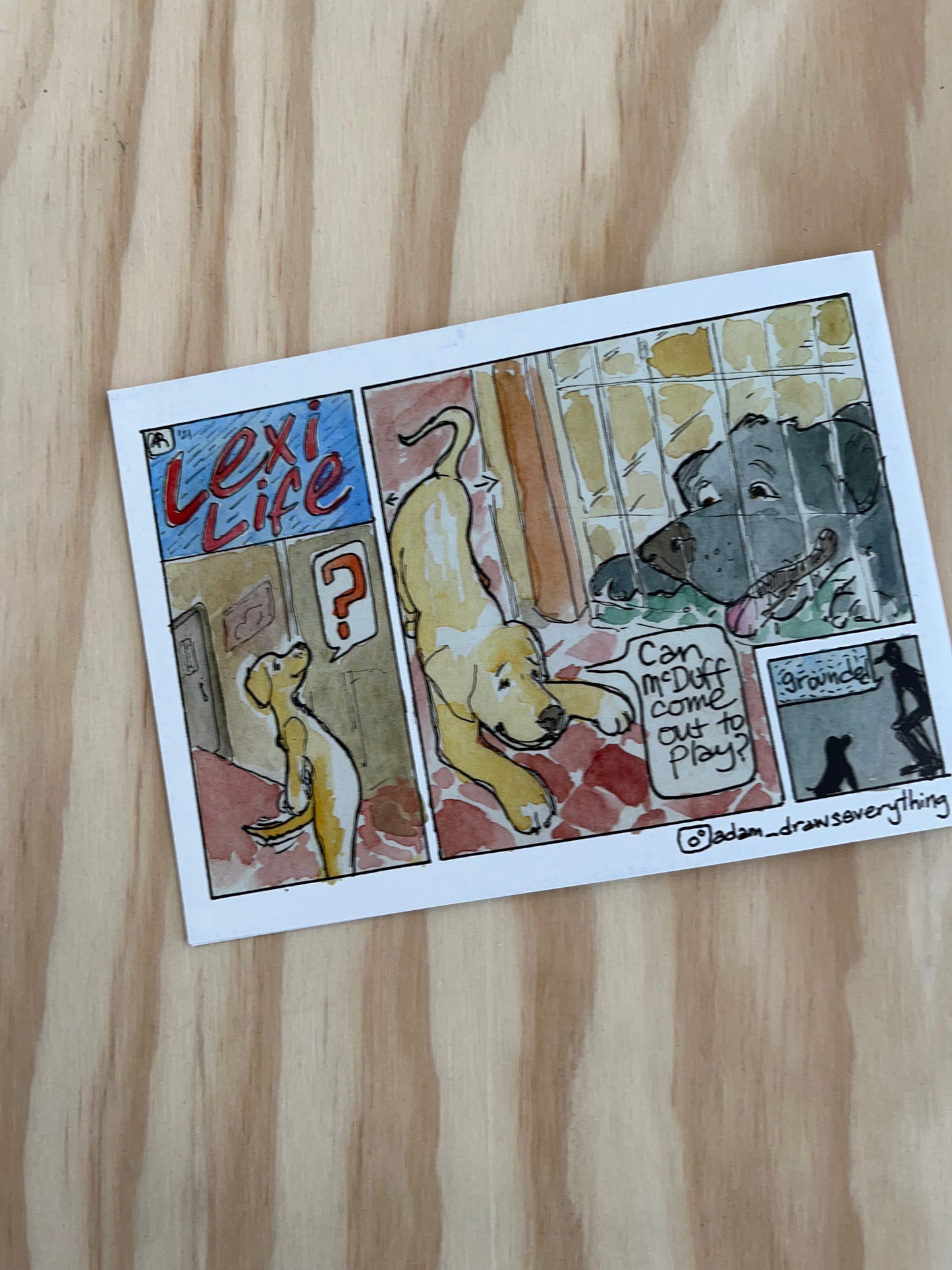The Company of Dogs