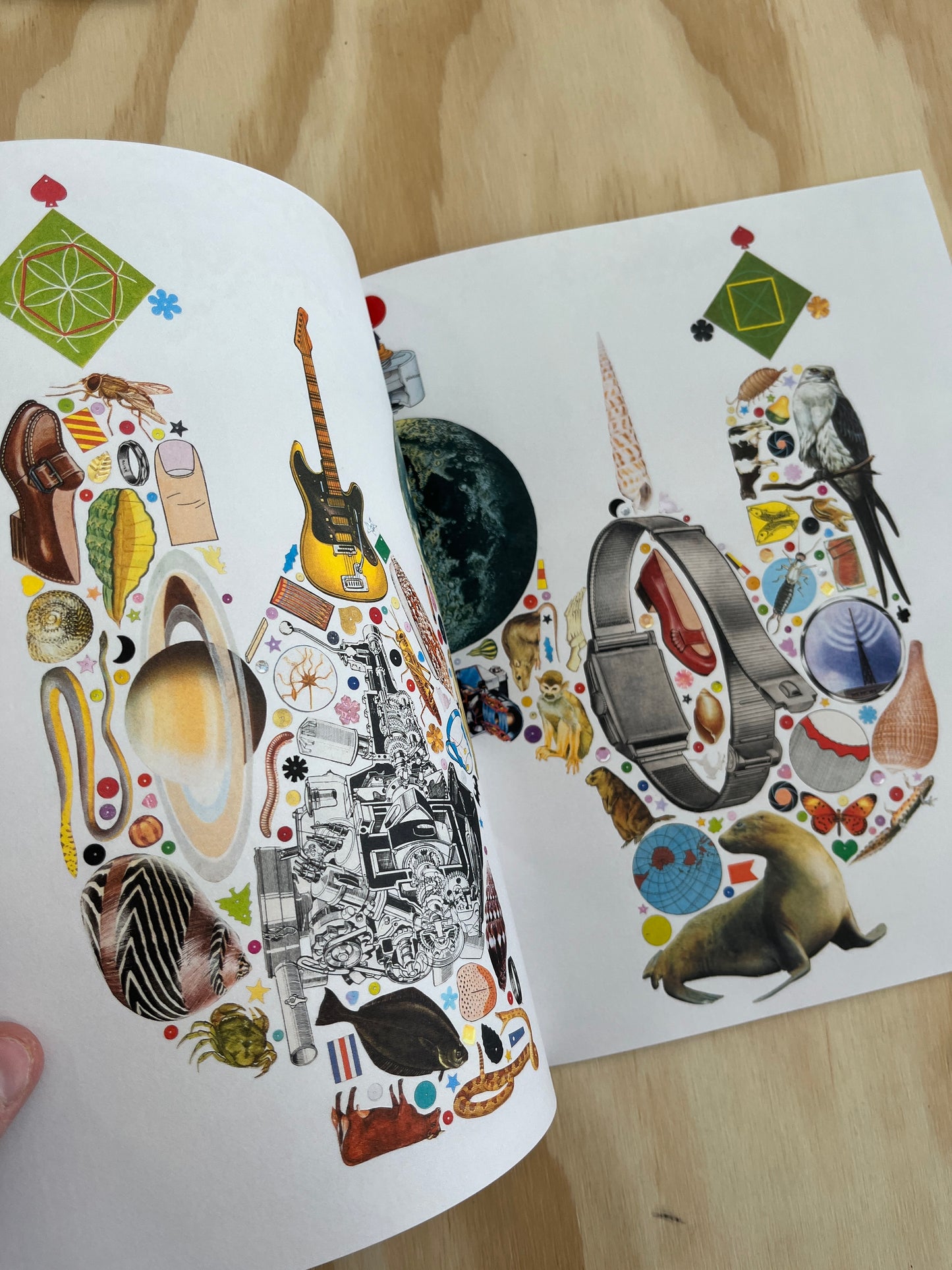 The Pieces