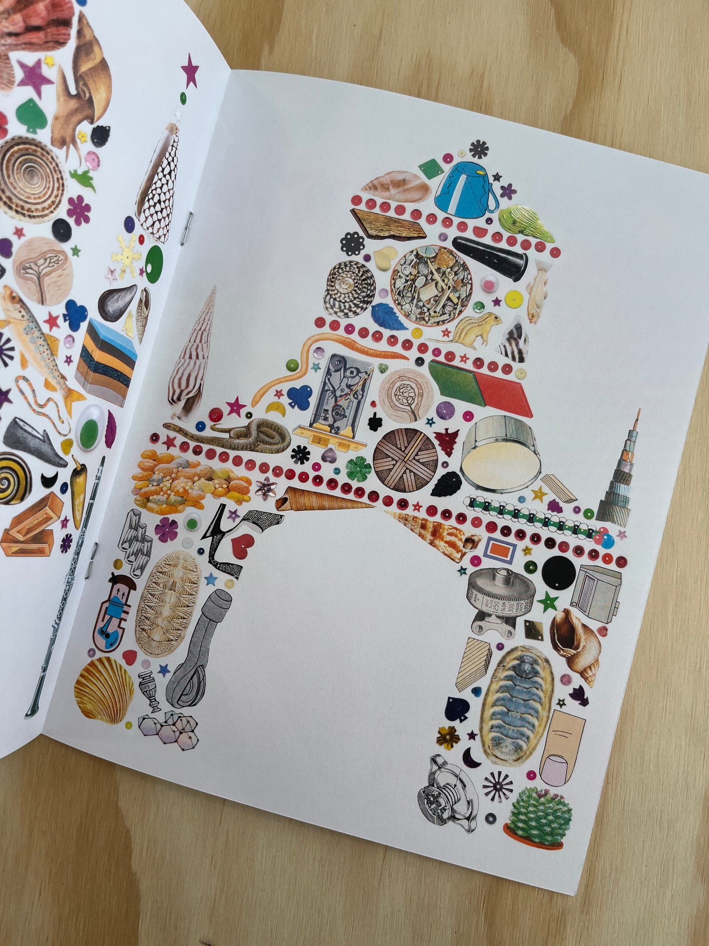The Pieces