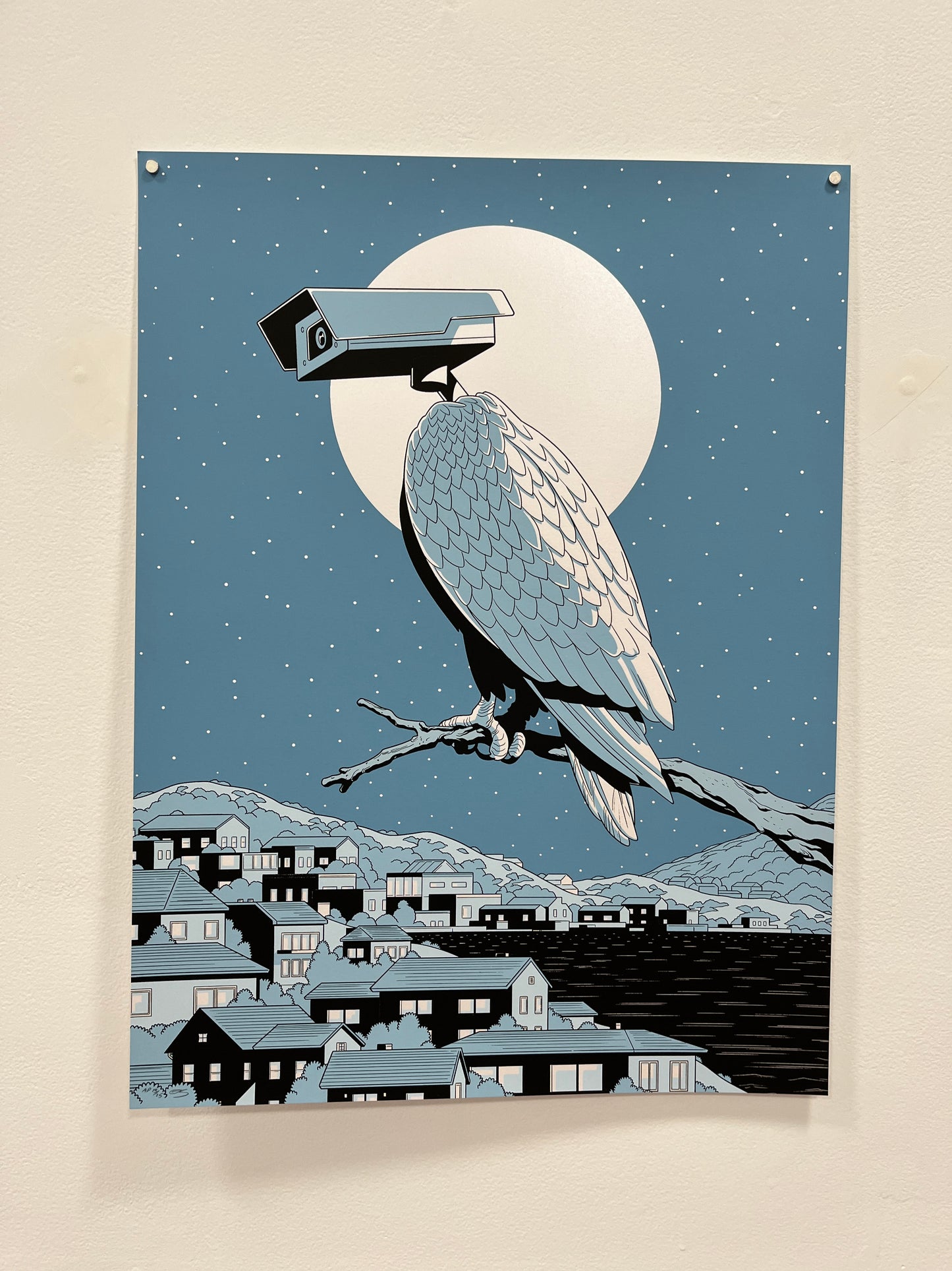 Anuj Shrestha: National Bird