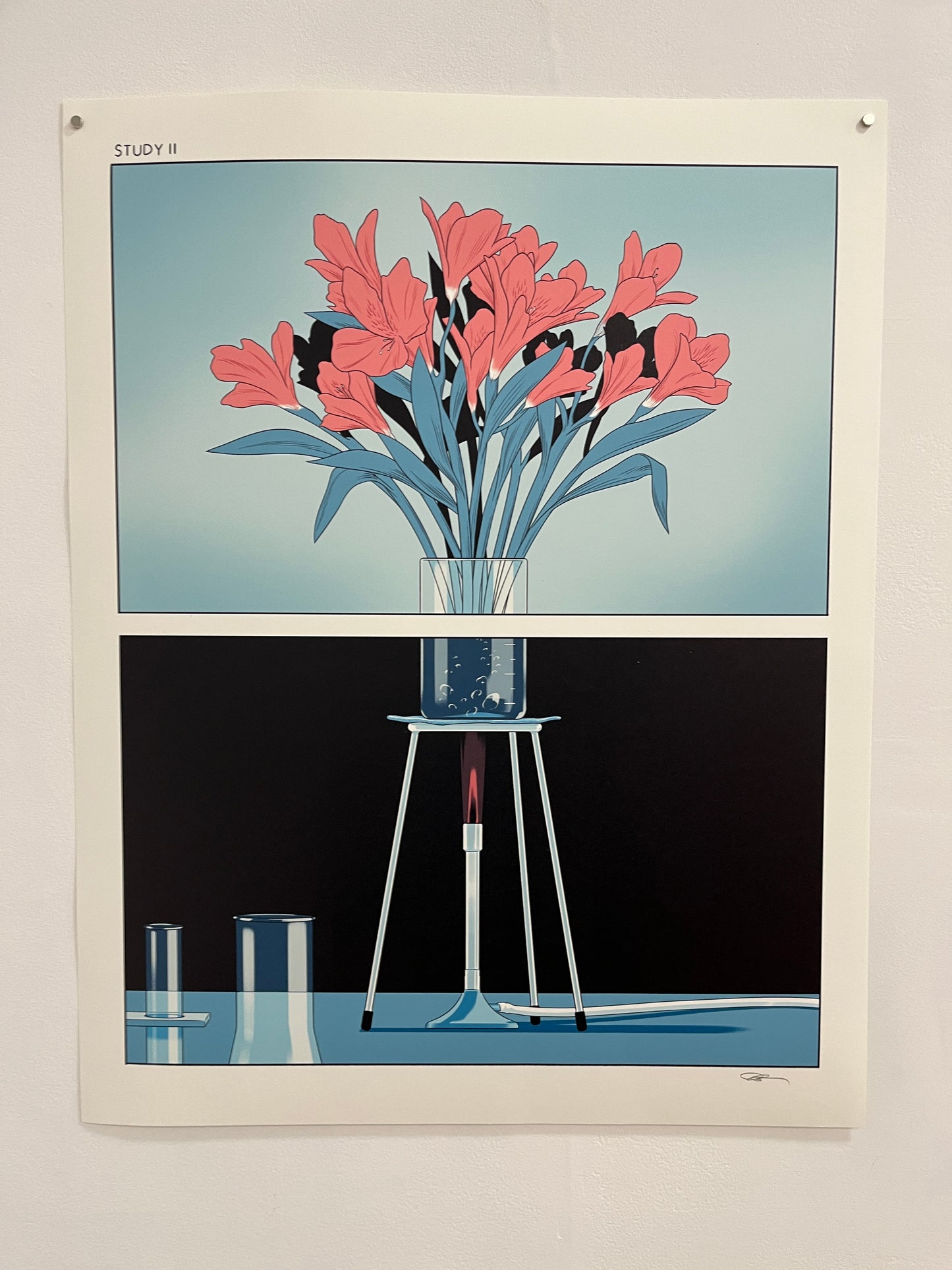 Anuj Shrestha: Study II