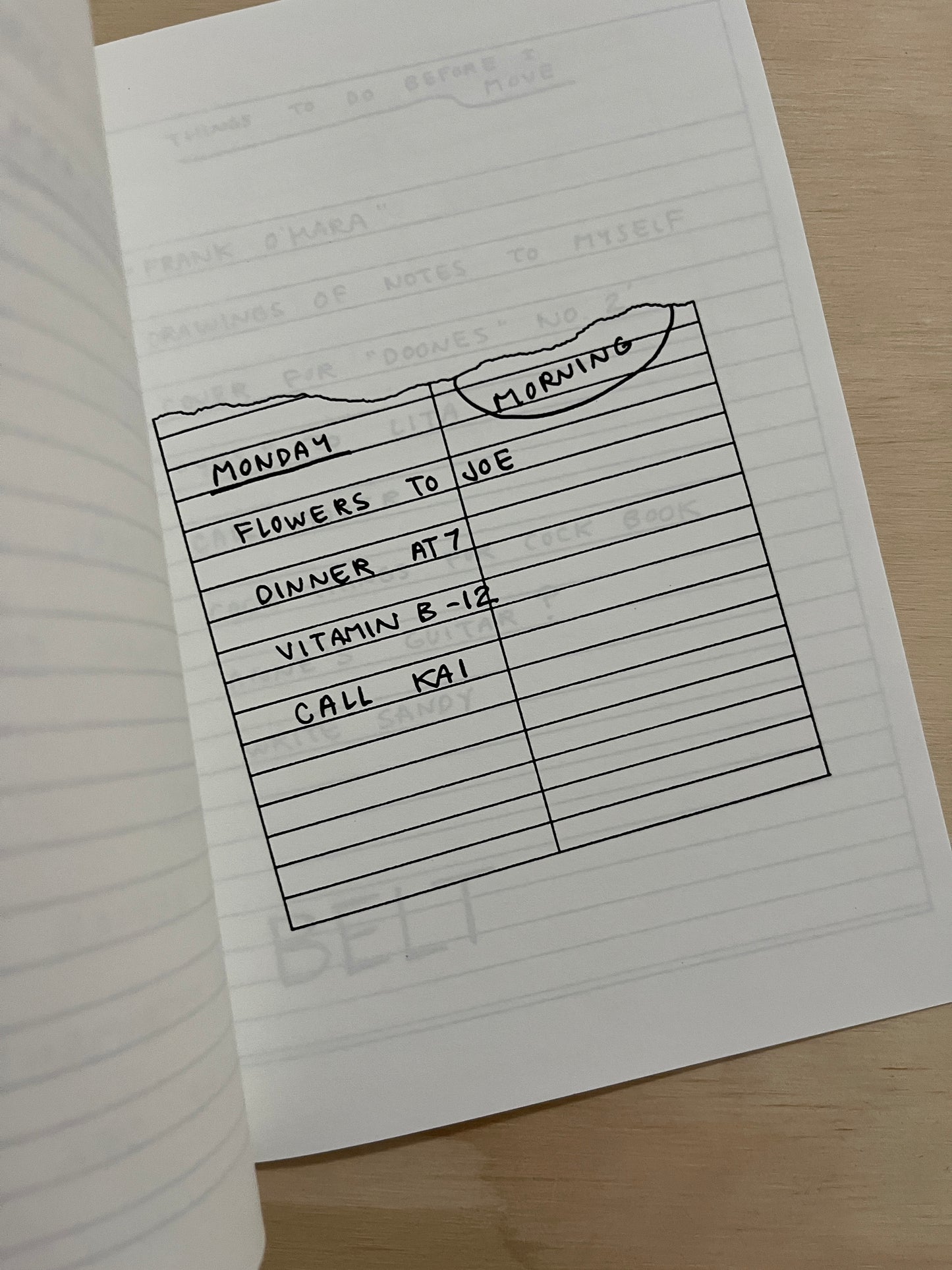 Some Drawings of Some Notes to Myself