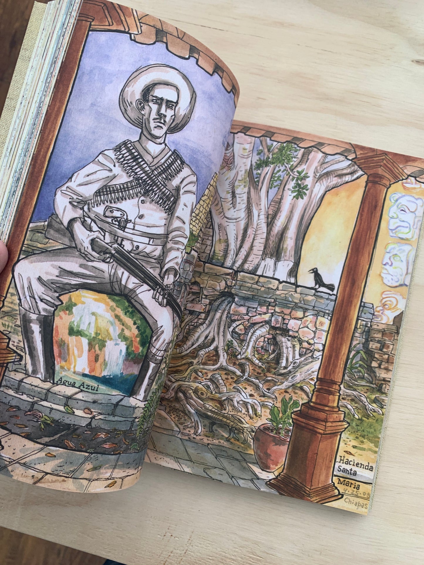 Diario de Oaxaca: A Sketchbook Journal of Two Years in Mexico